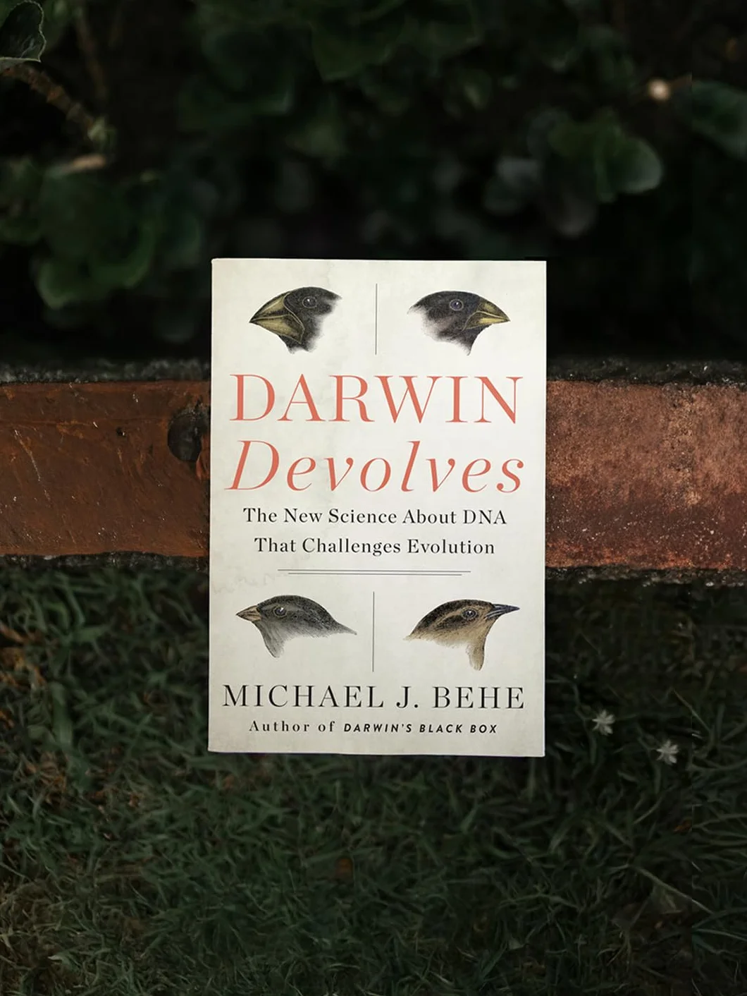 Darwin Devolves: The New Science About DNA That Challenges Evolution