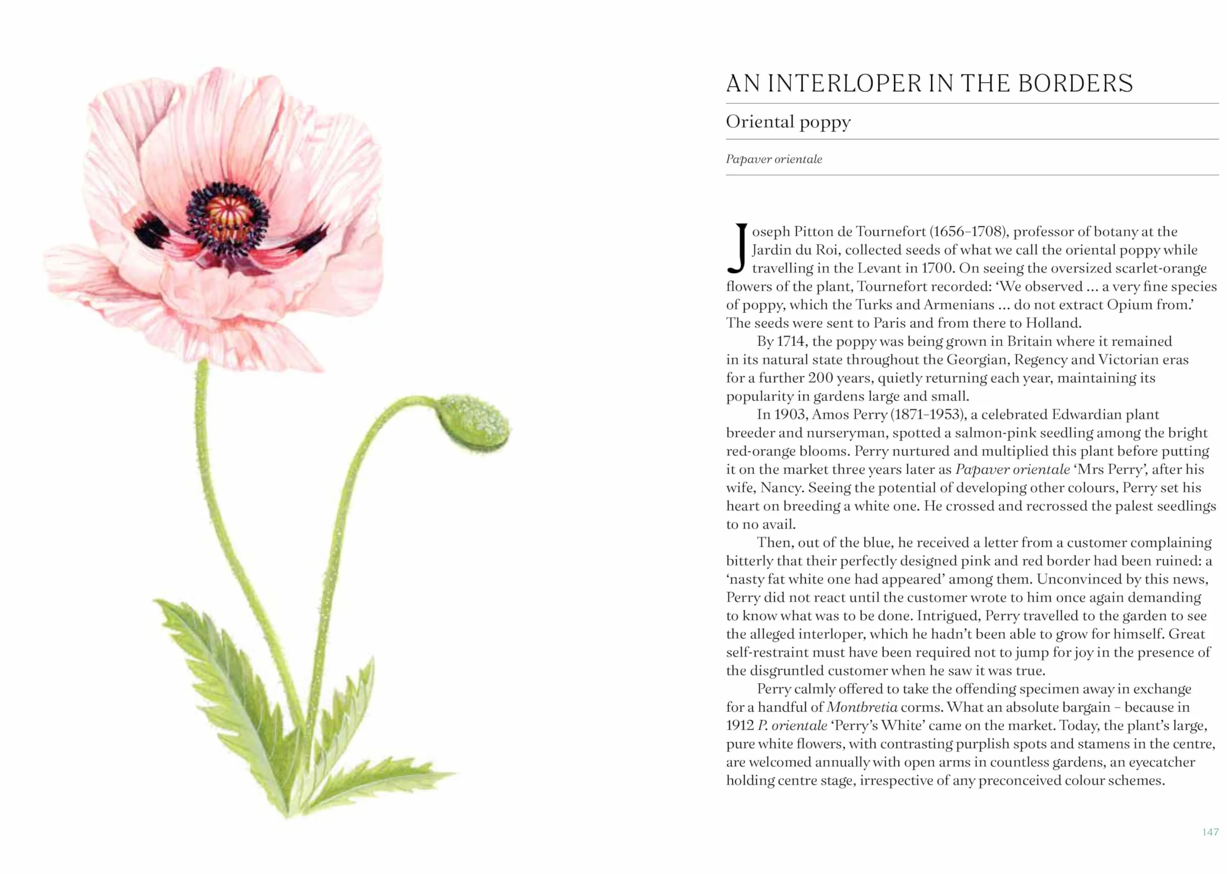 A Short History of Flowers: The Stories That Make Our Gardens