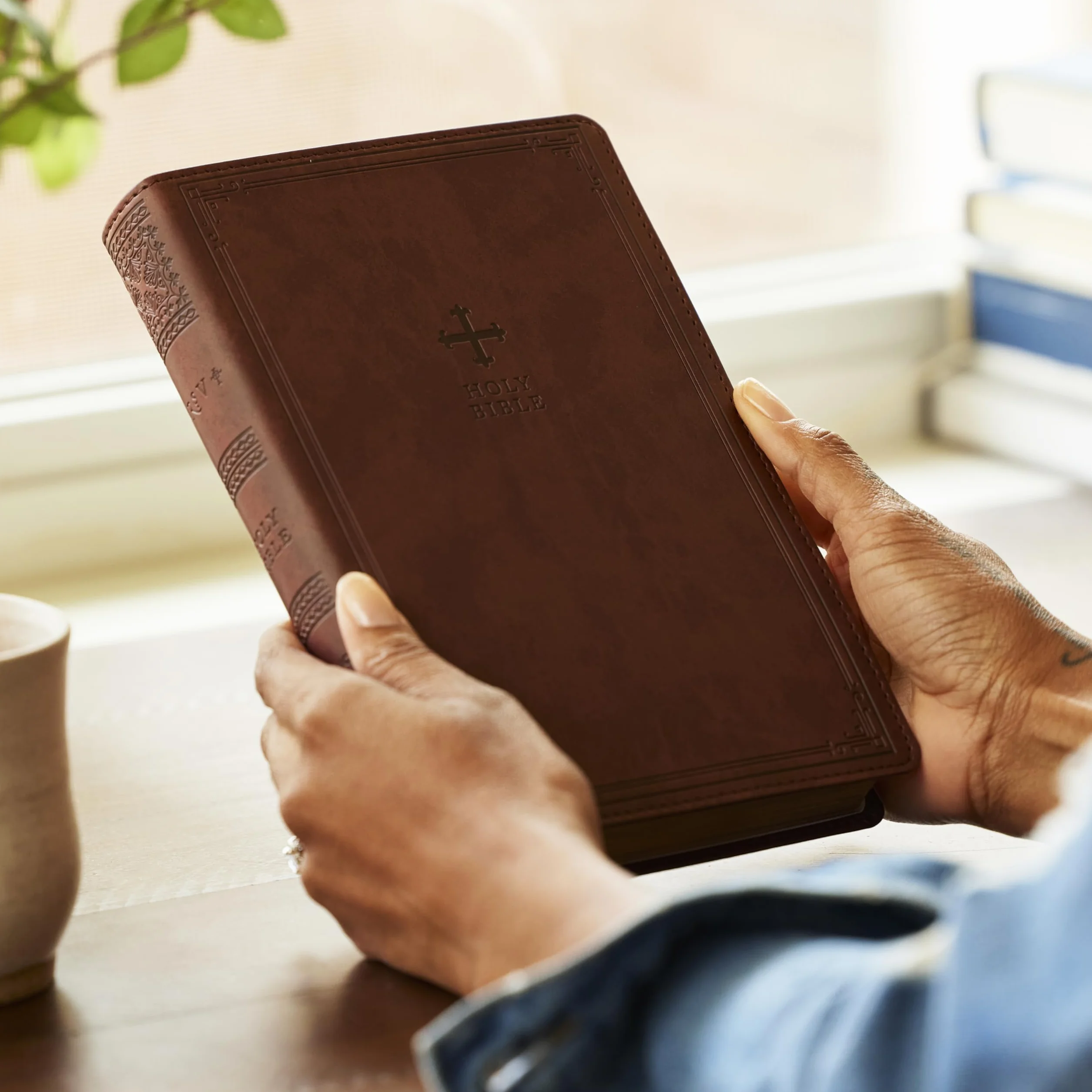 Nrsv, Catholic Bible, Gift Edition, Leathersoft, Brown, Comfort Print: Holy Bible