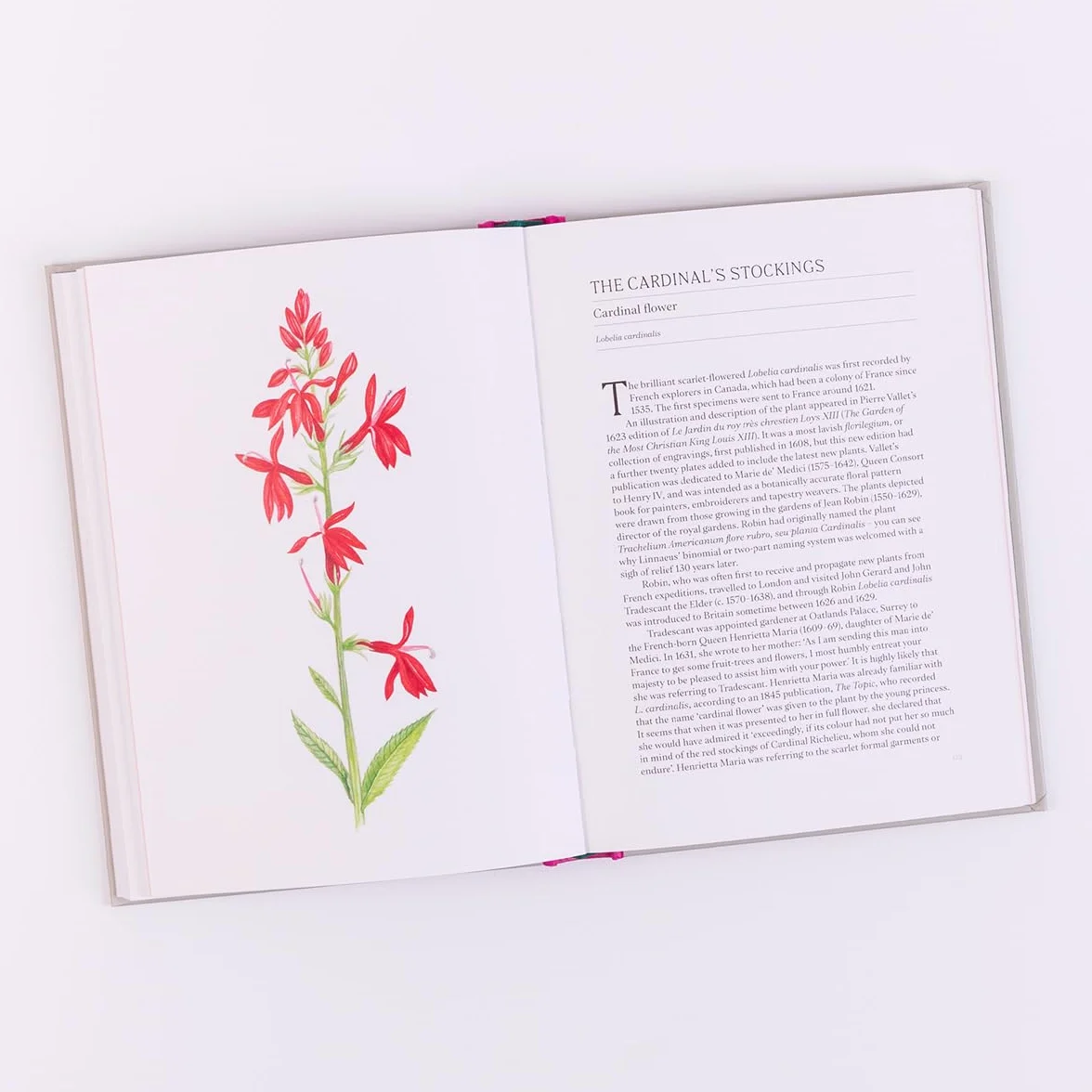 A Short History of Flowers: The Stories That Make Our Gardens