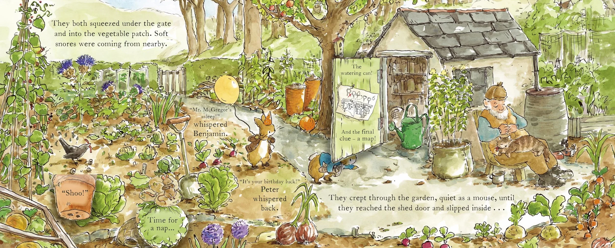 Peter Rabbit: The Birthday Present Hunt: A lift the flap story
