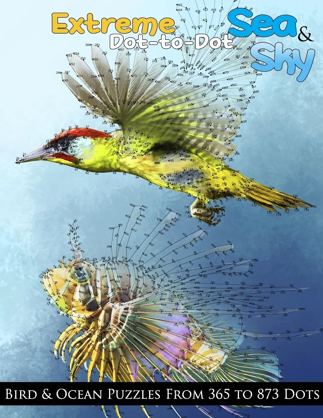 Extreme Dot-to-Dot Sea & Sky Bird & Ocean Puzzles from 365 to 873 Dots: 11