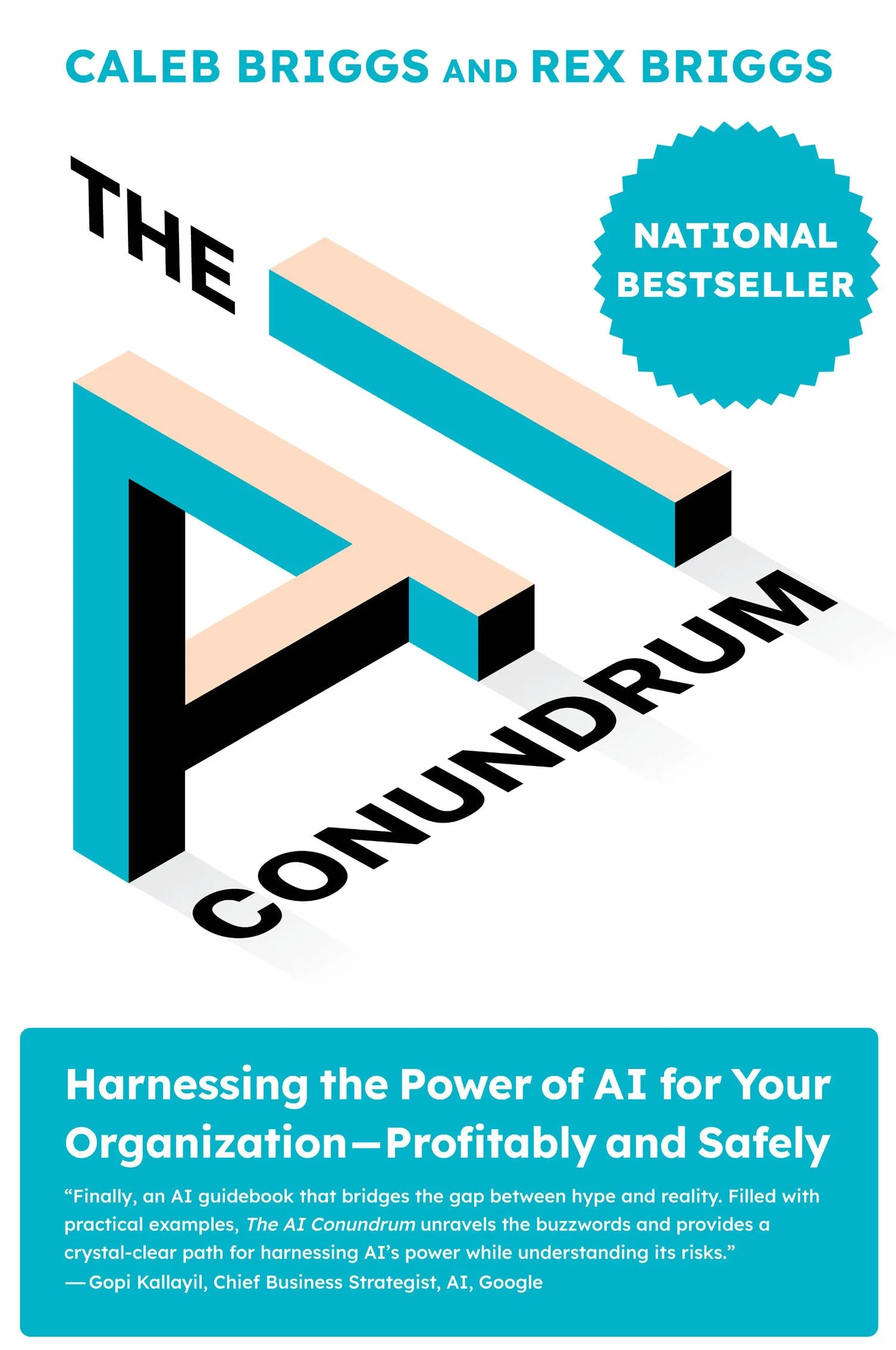 The AI Conundrum: Harnessing the Power of AI for Your Organization--Profitably and Safely