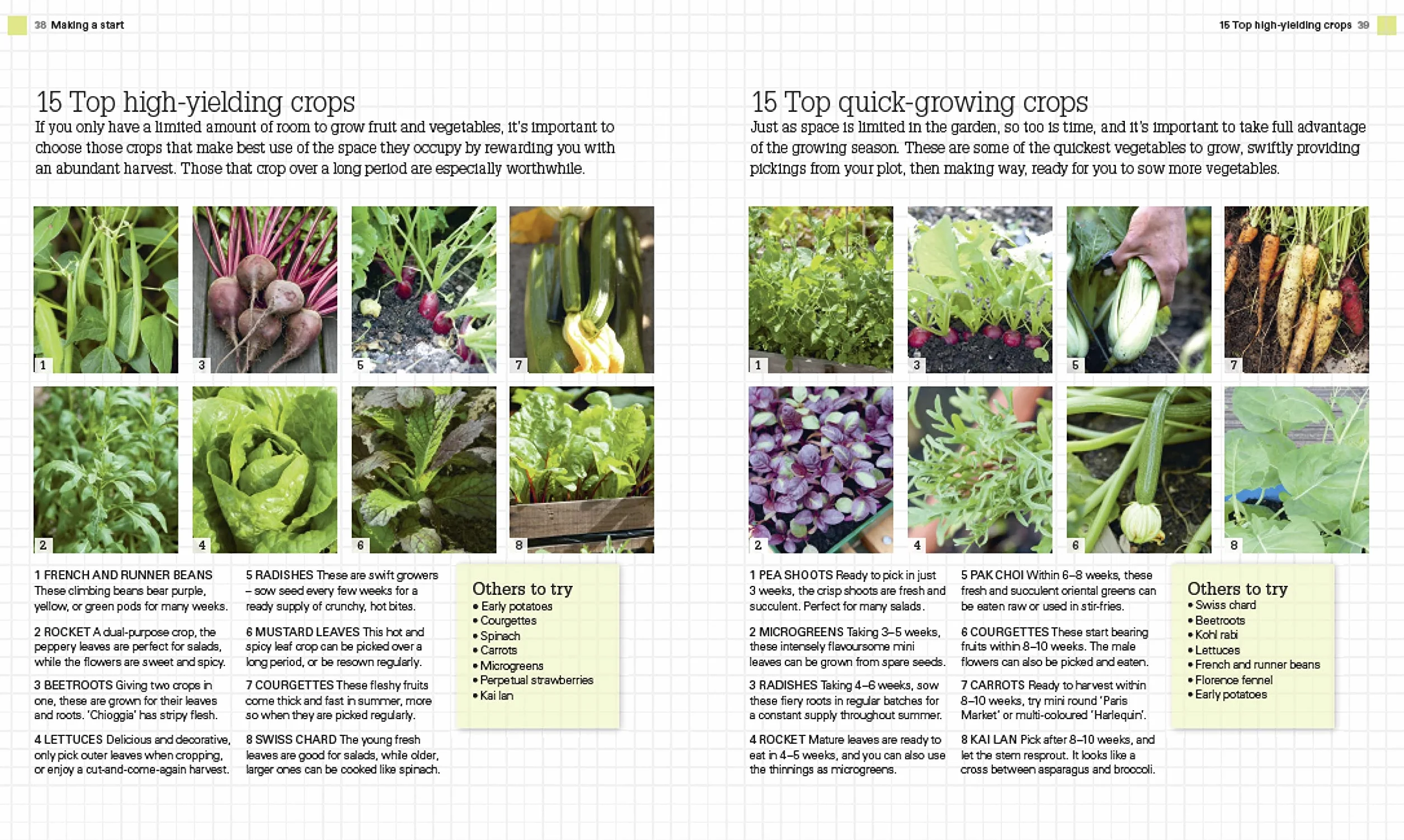 Grow All You Can Eat In Three Square Feet: Inventive Ideas for Growing Food in a Small Space