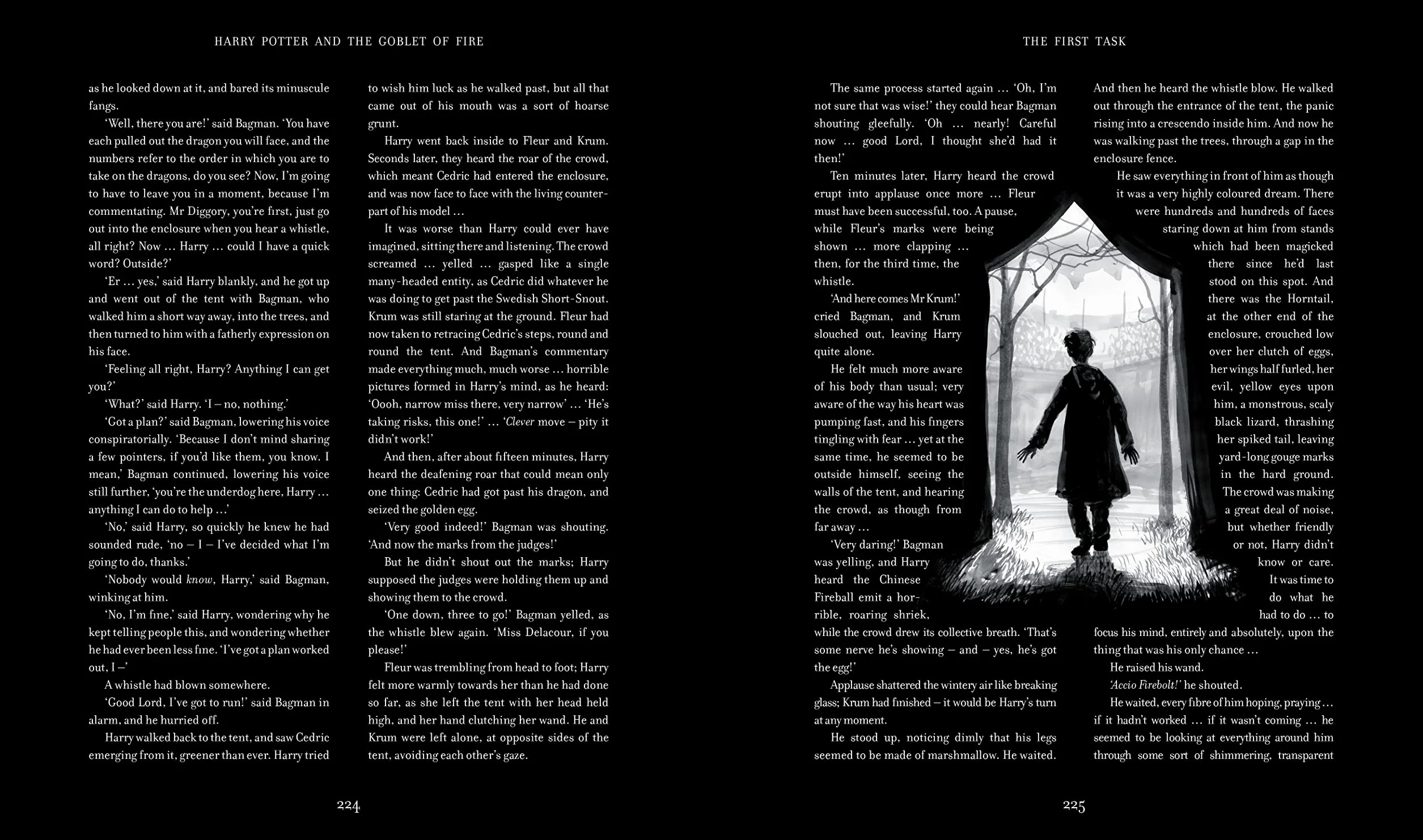 Harry Potter and the Goblet of Fire: Illustrated Edition