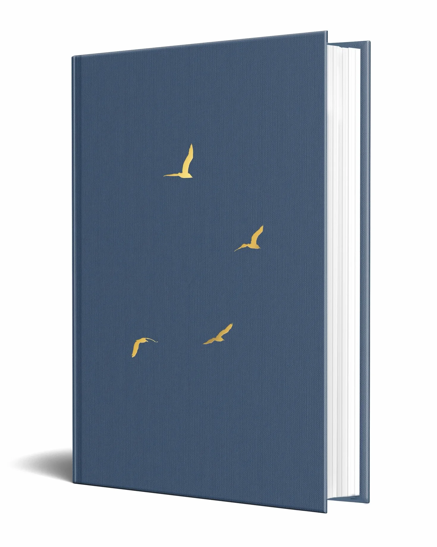 The Ballad of Ronan McCoy: A tender coming-of-age literary fiction novel about friendship and first love for fans of Douglas Stuart and Andrew O’Hagan