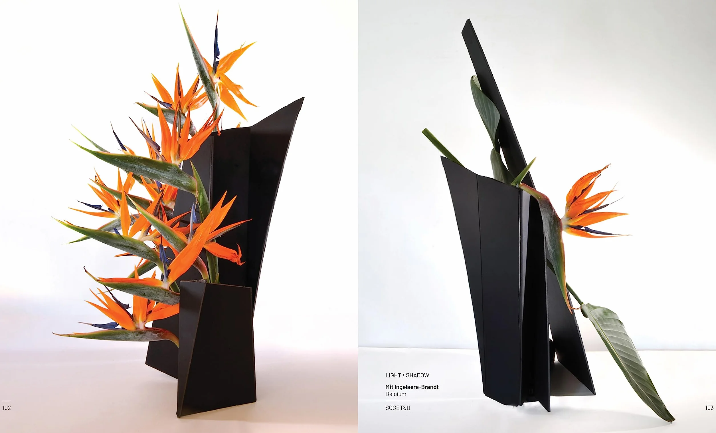 Ikebana. Opposites Attract