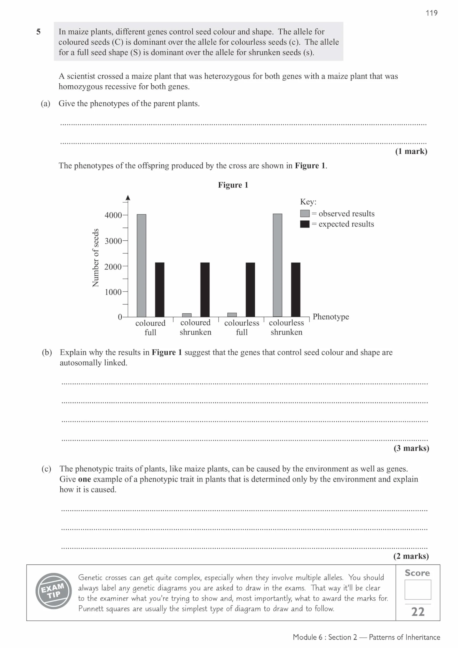 A-Level Biology: OCR A Year 1 & 2 Exam Practice Workbook includes Answers