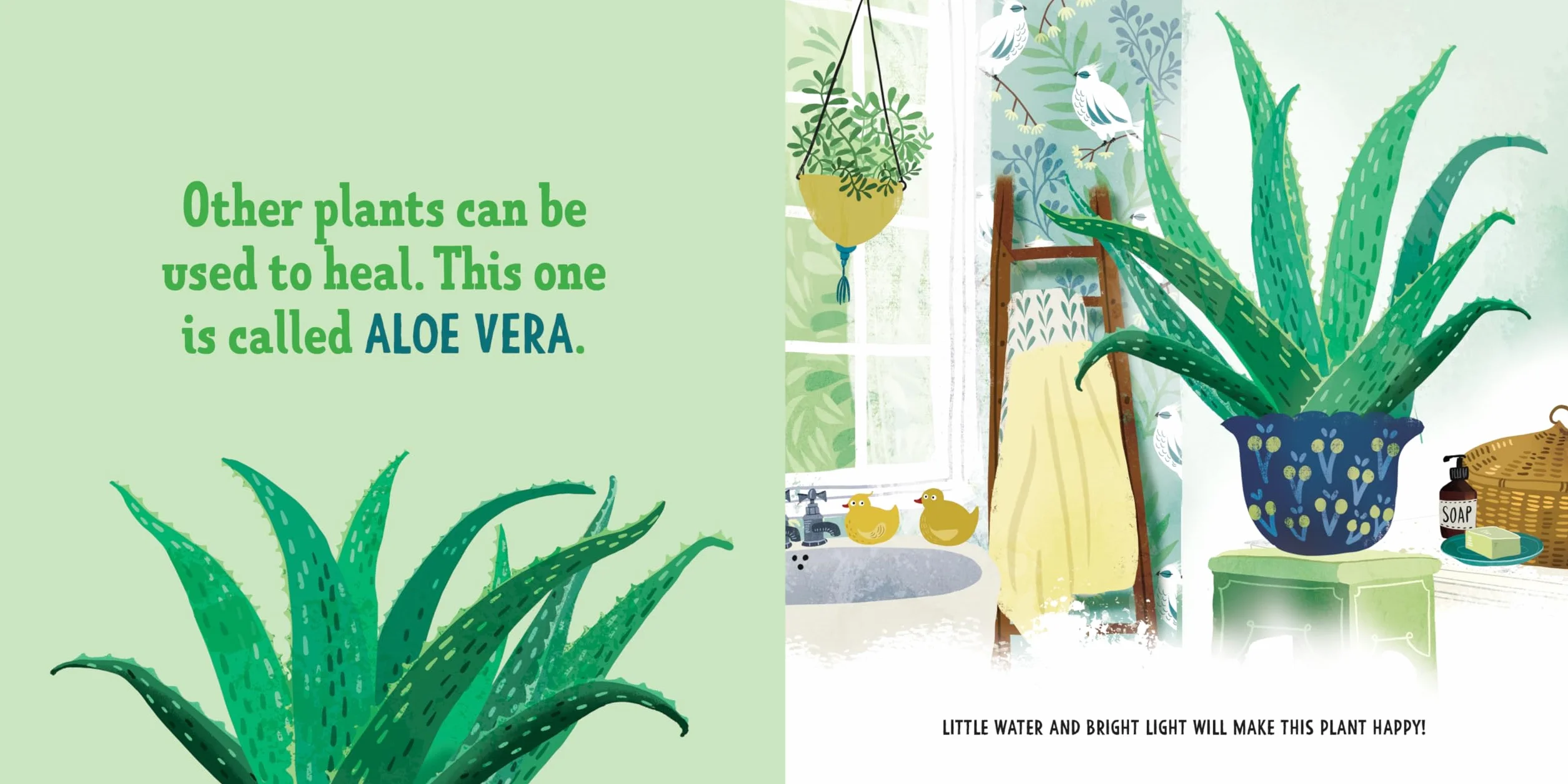 My First Book of Houseplants