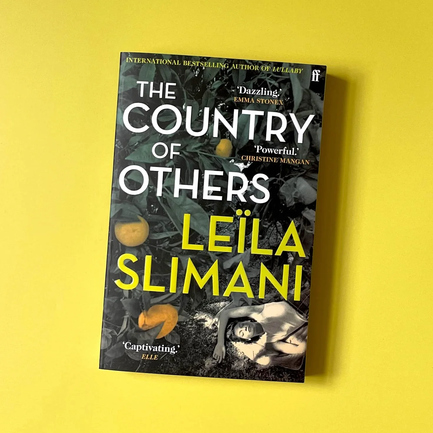 The Country of Others: Leila Slimani