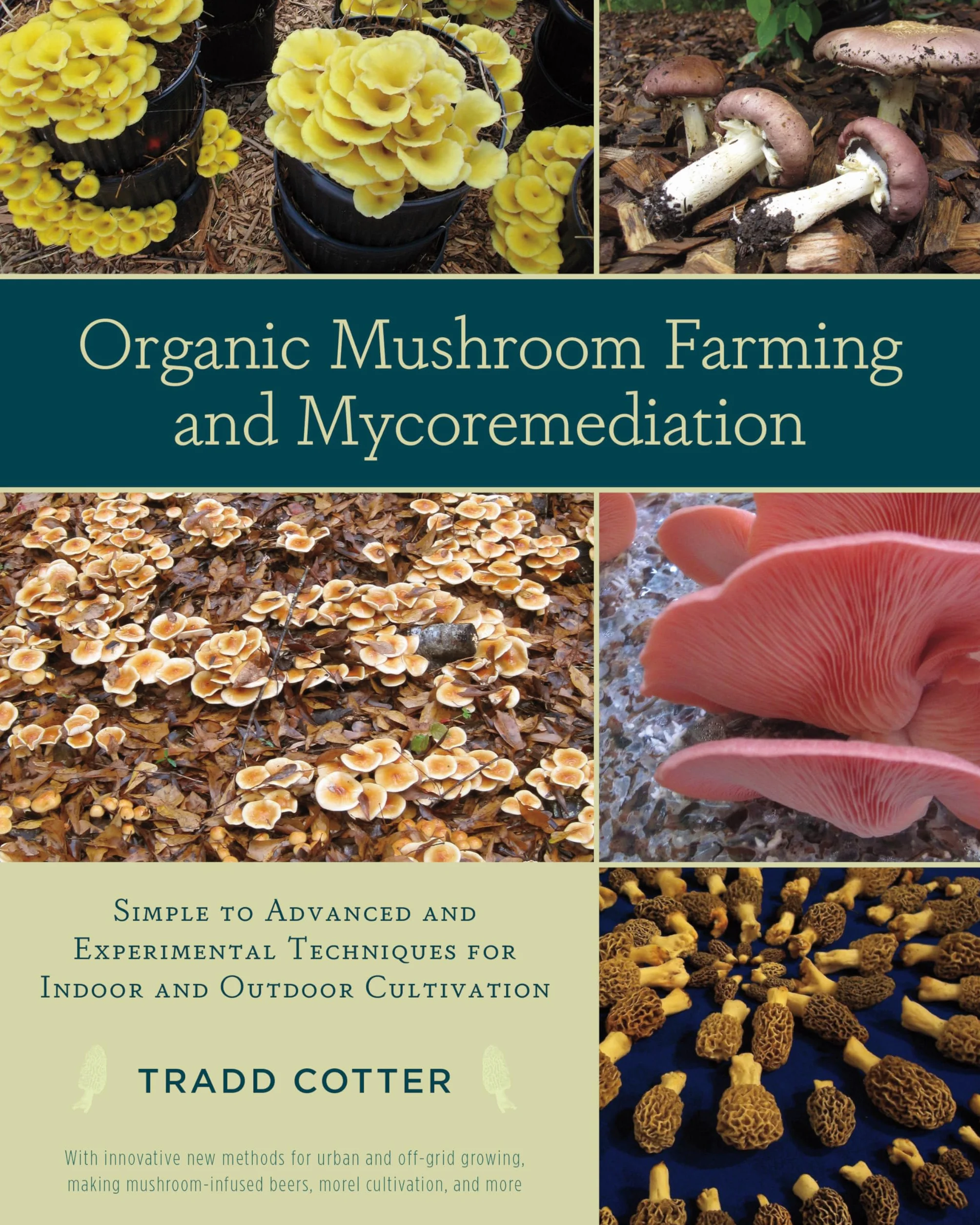Organic Mushroom Farming and Mycoremediation: Simple to Advanced and Experimental Techniques for Indoor and Outdoor Cultivation