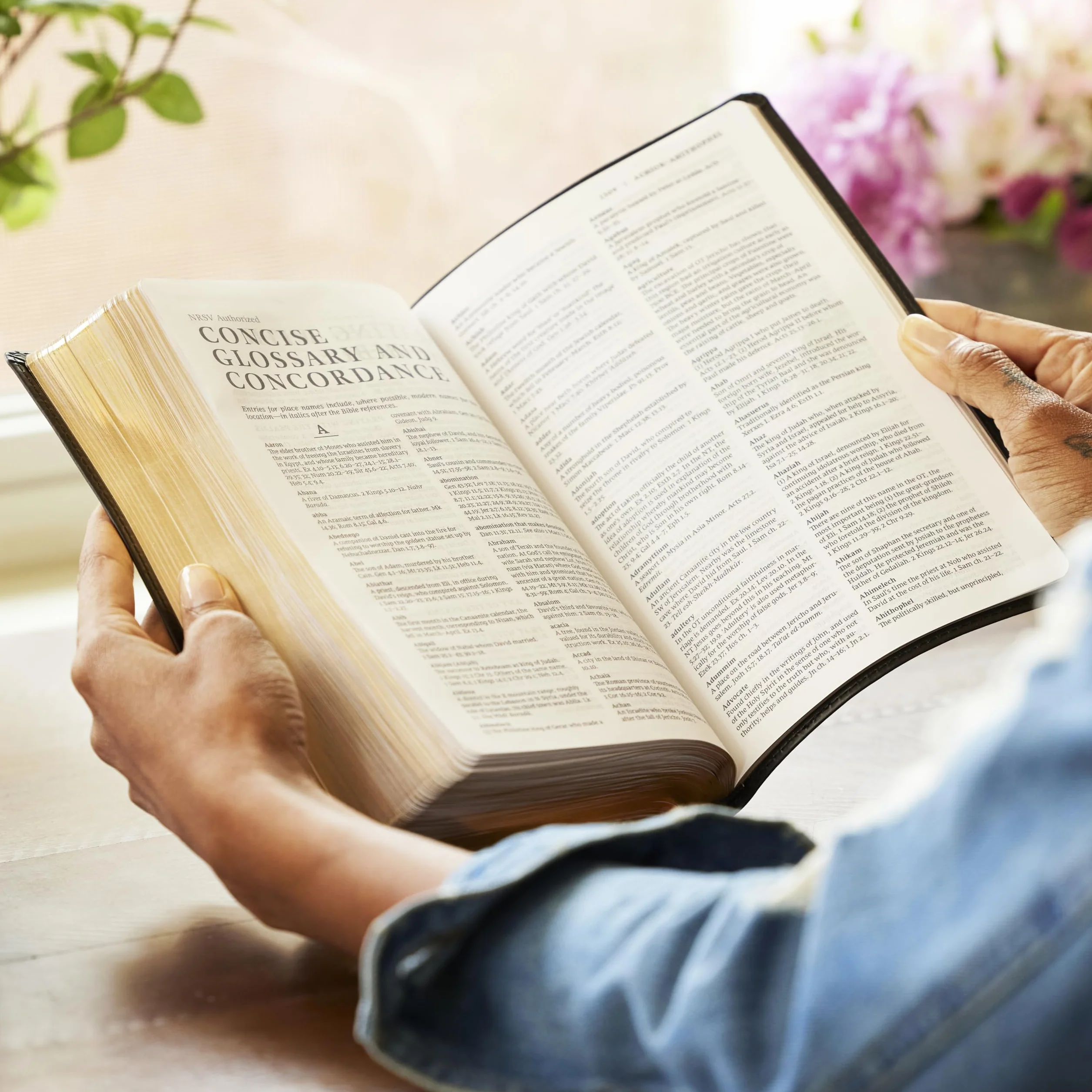 Nrsv, Catholic Bible, Gift Edition, Leathersoft, Brown, Comfort Print: Holy Bible
