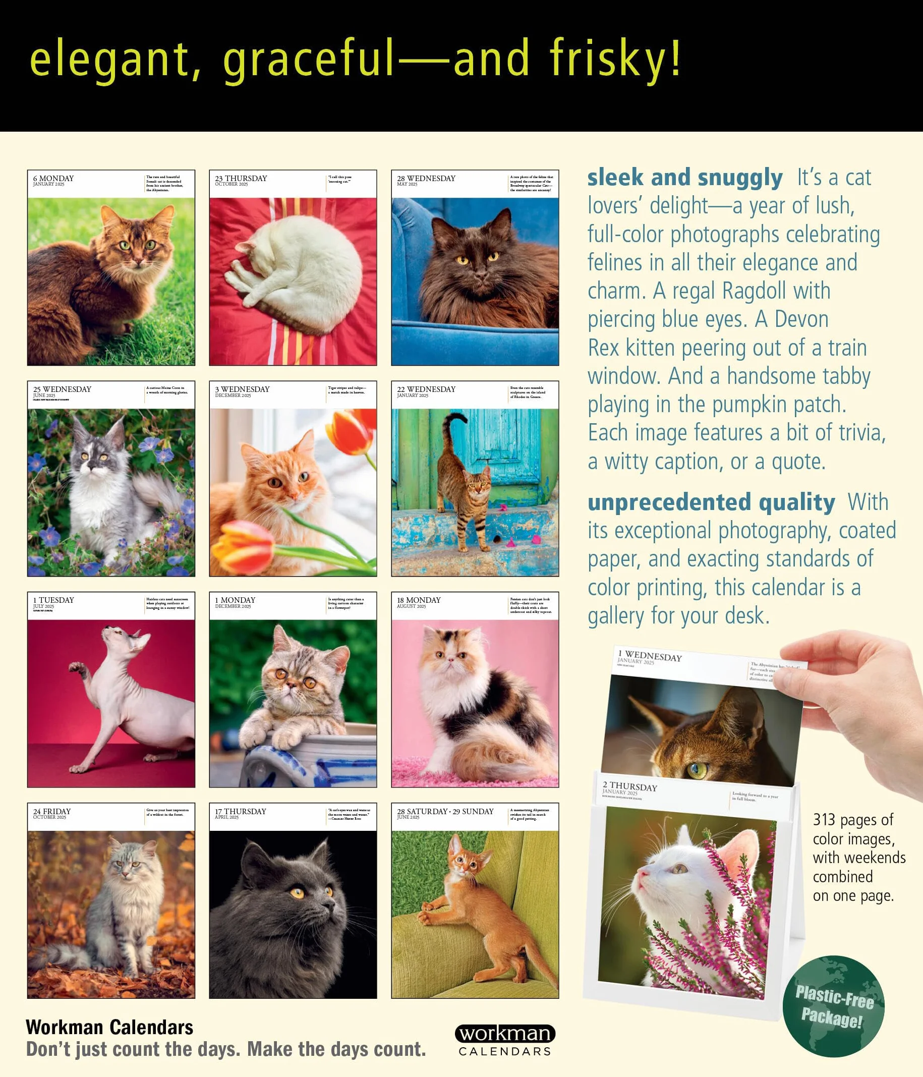 Cat Page-A-Day® Gallery Calendar 2025: A Delightful Gallery of Cats for Your Desktop