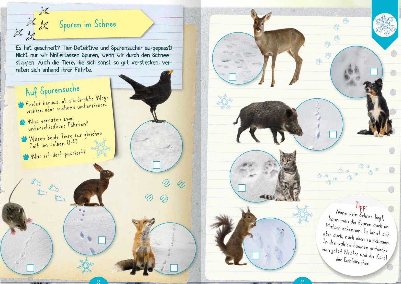 Naturforscher-Kids - Mitmach-Buch für unterwegs: Eintragen, Forschen, Entdecken