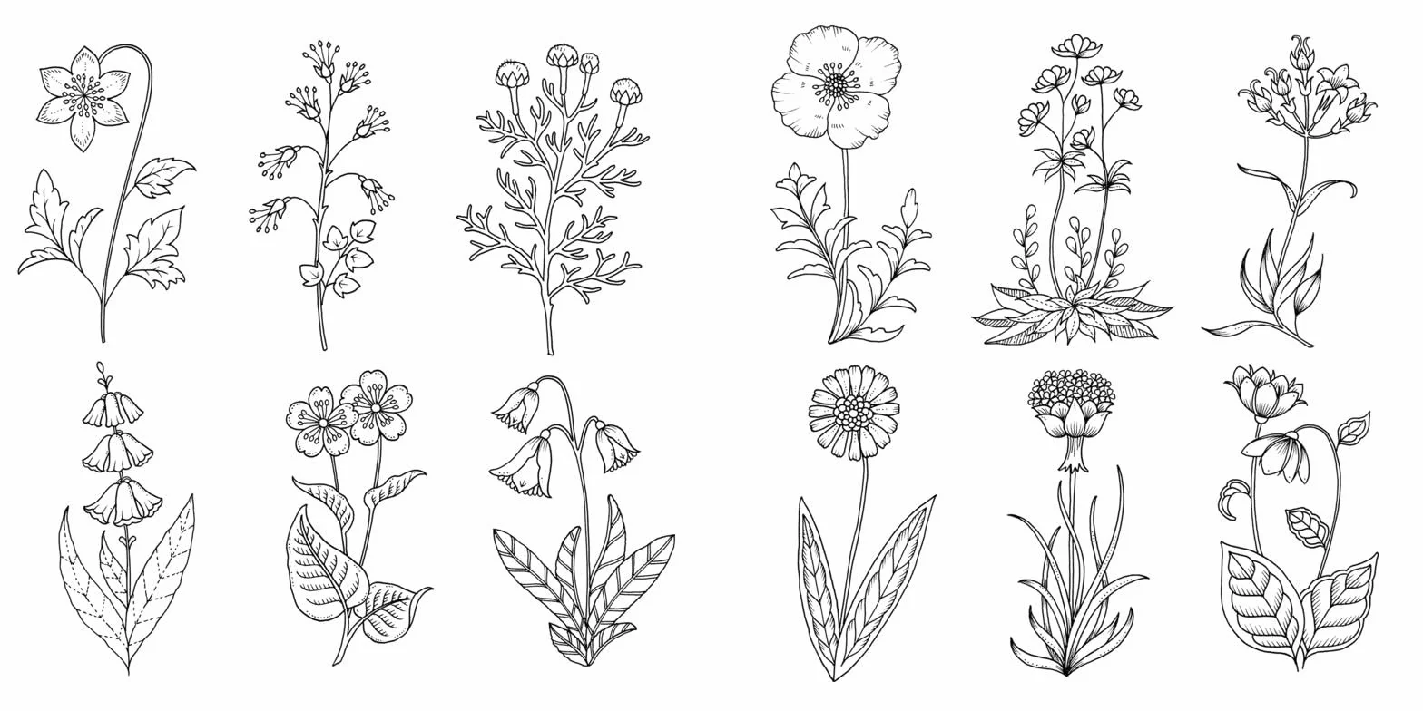 Wundervolle Wildblumen: Ein Ausmalbuch für Erwachsene | Mit floraler Entdeckungsreise von 12 magischen Wildblumen (SPIEGEL-Bestseller)