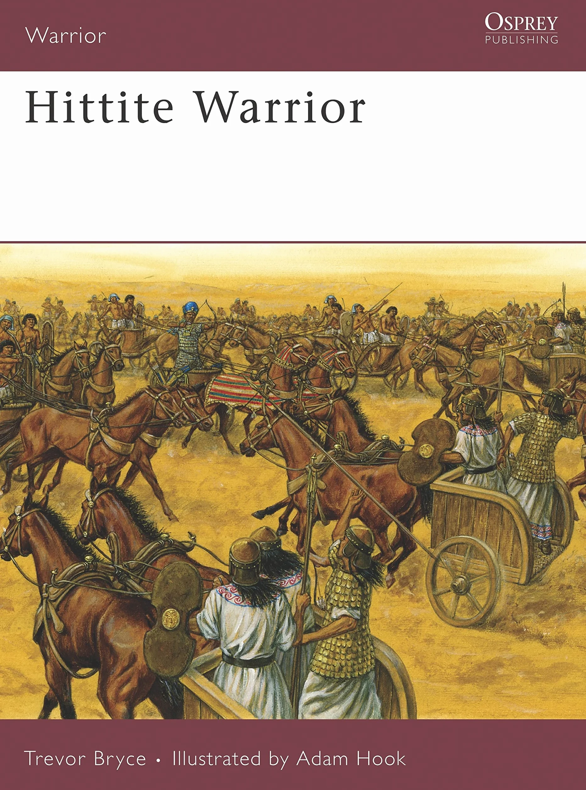 Hittite Warrior: 120
