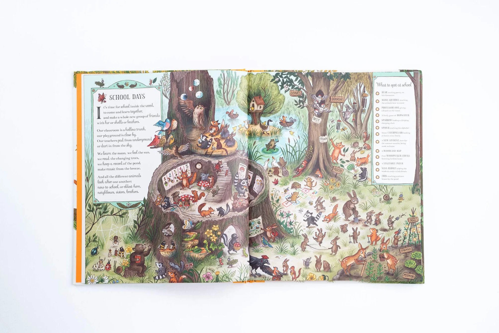 If You Go Down to the Woods Today: More than 100 things to find