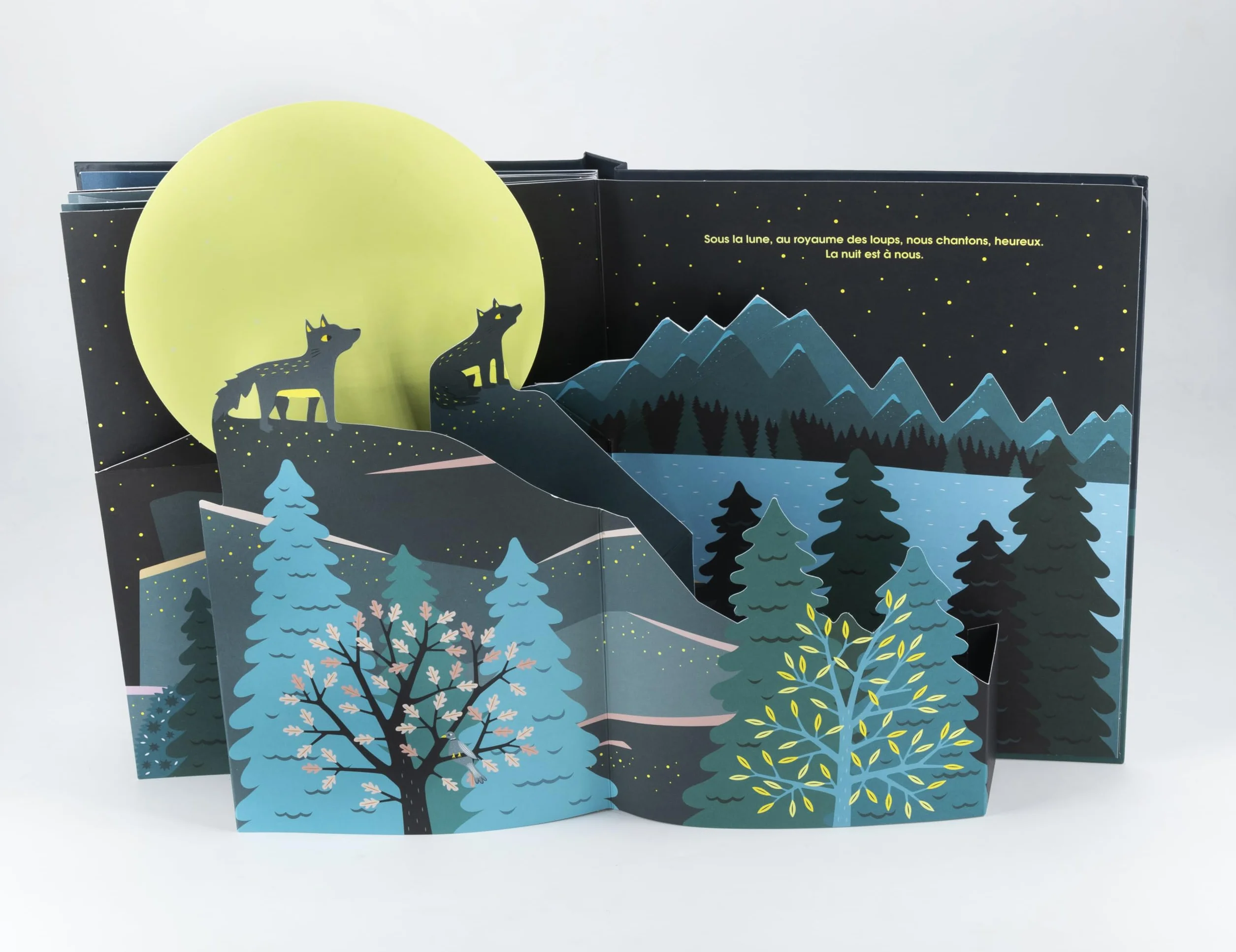 Loups: Livre pop-up