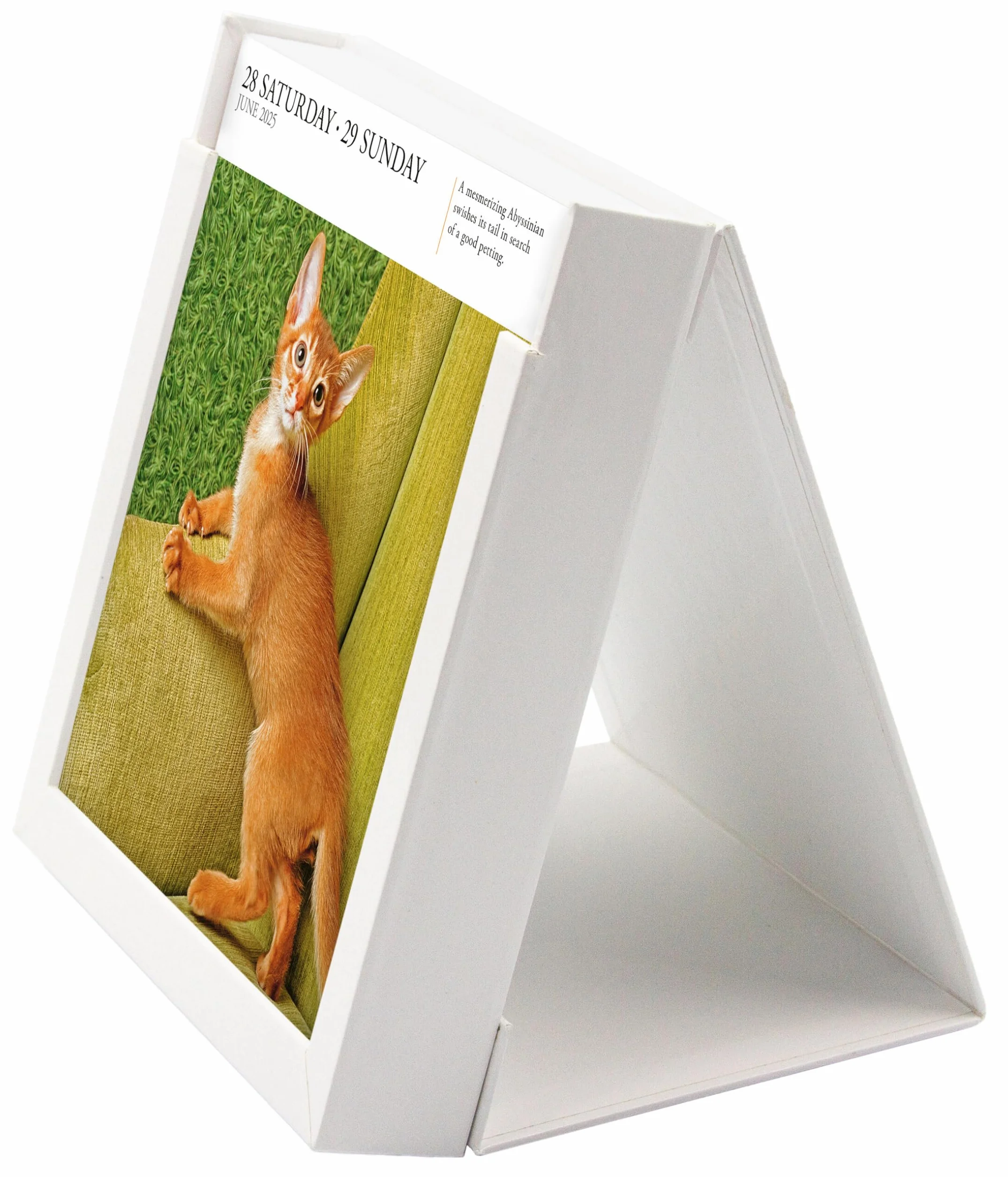 Cat Page-A-Day® Gallery Calendar 2025: A Delightful Gallery of Cats for Your Desktop