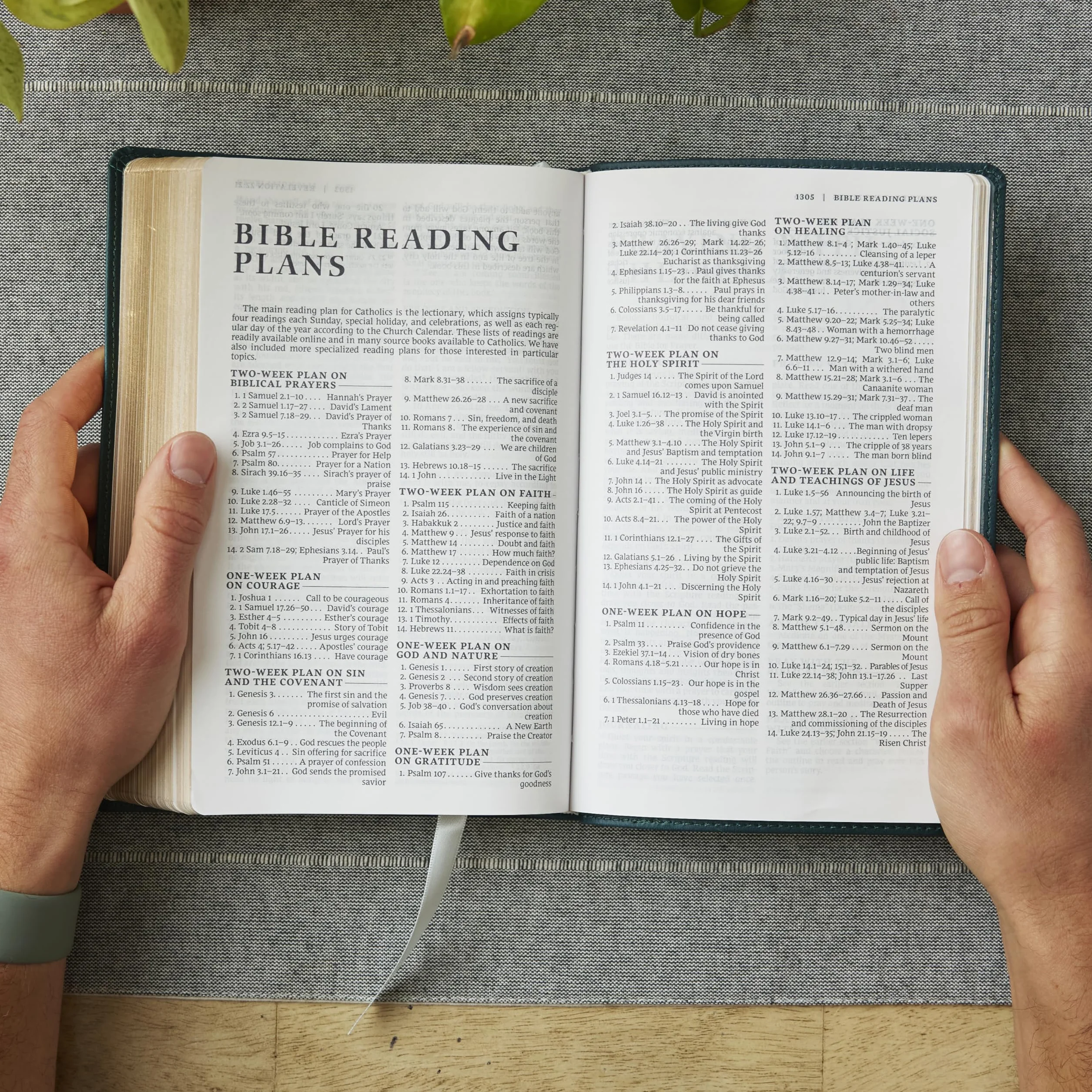 Nrsv, Catholic Bible, Gift Edition, Leathersoft, Brown, Comfort Print: Holy Bible