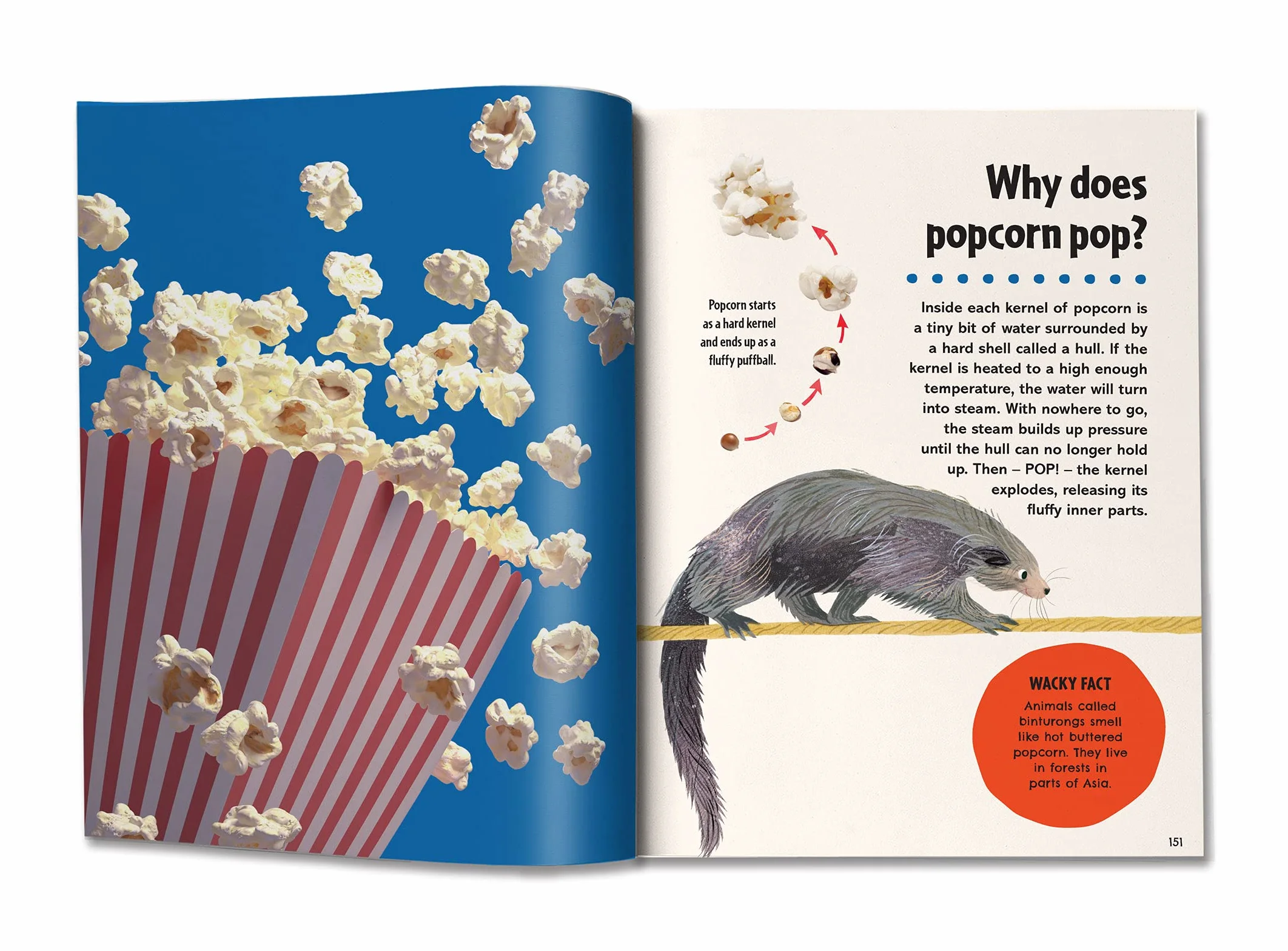 Britannica First Big Book of Why: Why can't penguins fly? Why do we brush our teeth? Why does popcorn pop? The ultimate book of answers for kids who need to know WHY!