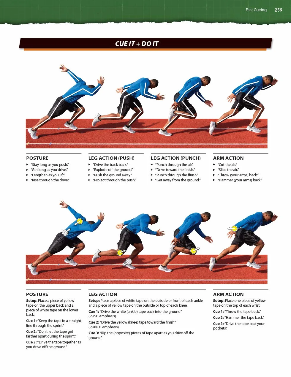 The Language of Coaching: The Art & Science of Teaching Movement