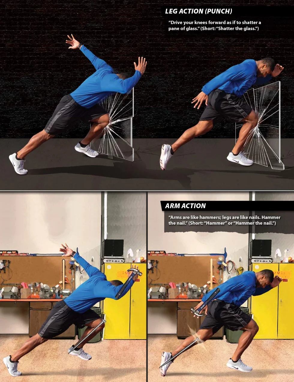The Language of Coaching: The Art & Science of Teaching Movement