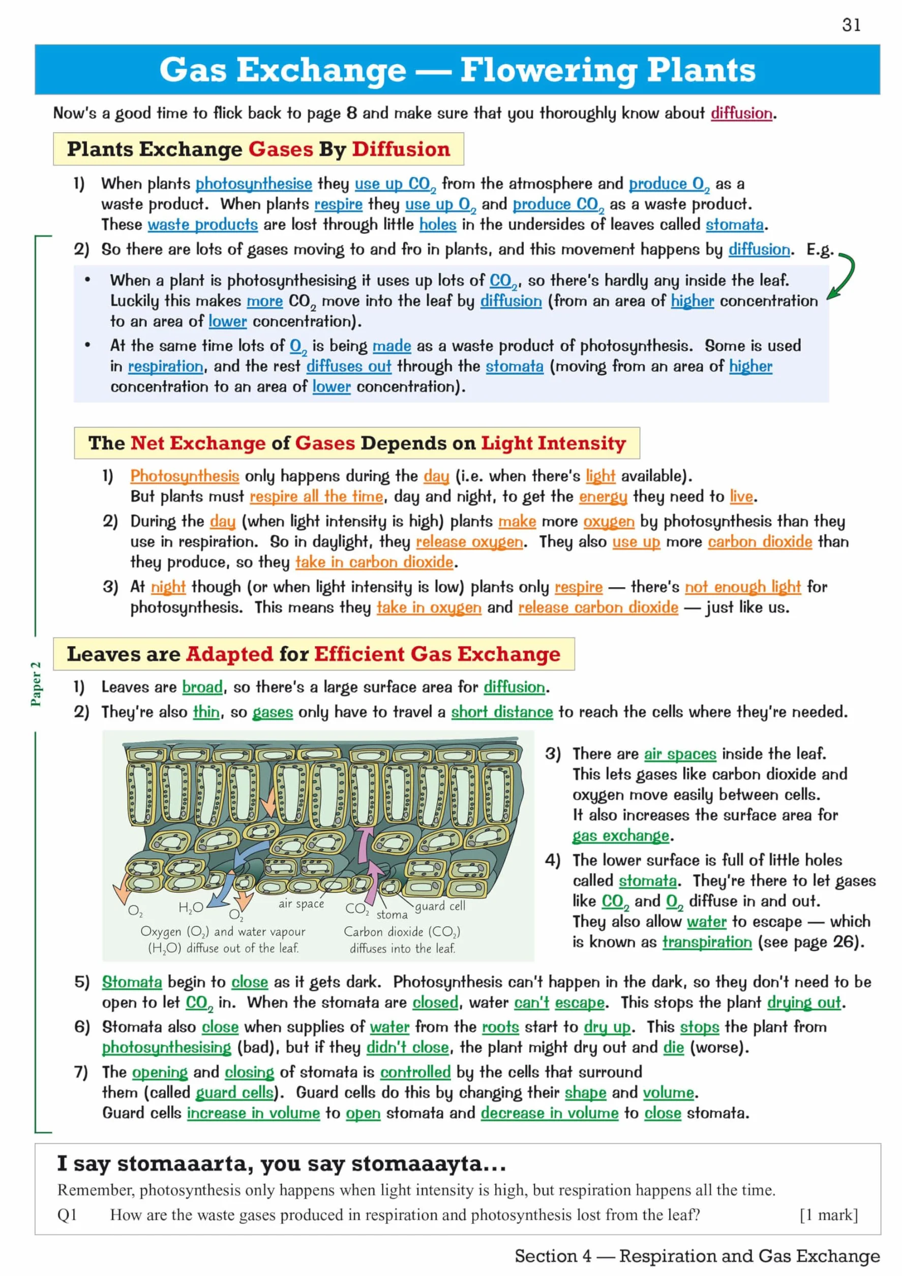 Edexcel International GCSE Biology Revision Guide: Including Online Edition, Videos and Quizzes