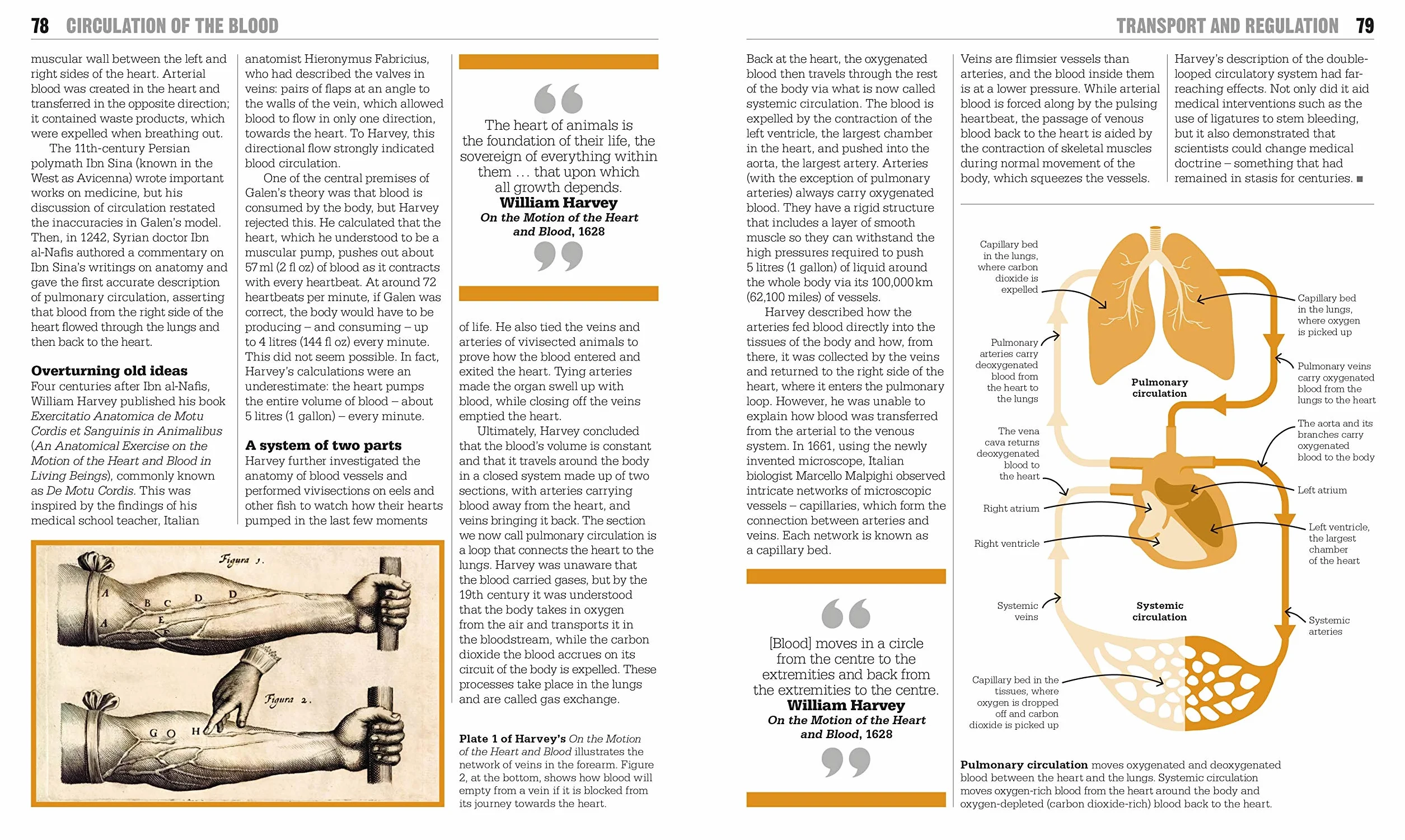 The Biology Book: Big Ideas Simply Explained