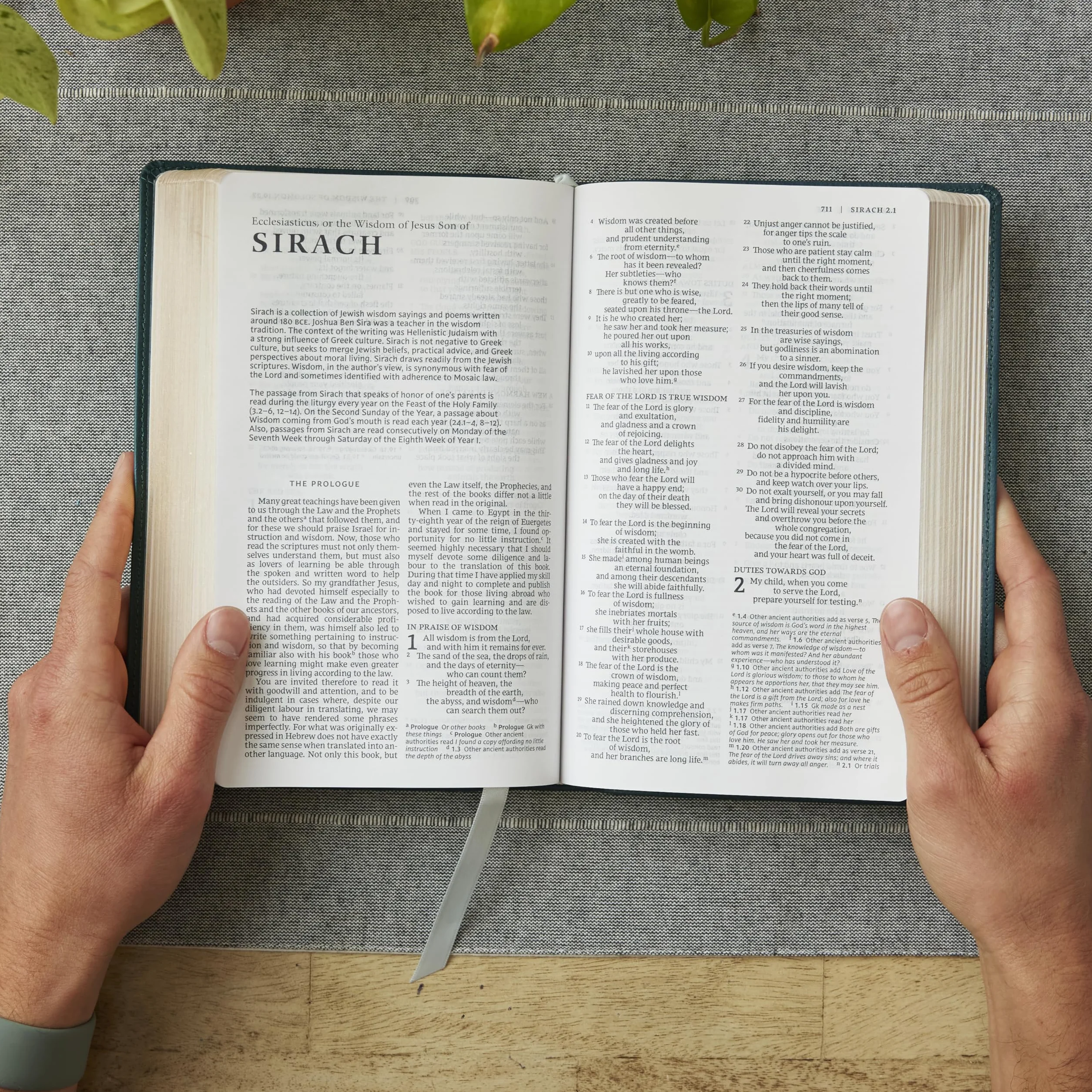 Nrsv, Catholic Bible, Gift Edition, Leathersoft, Brown, Comfort Print: Holy Bible