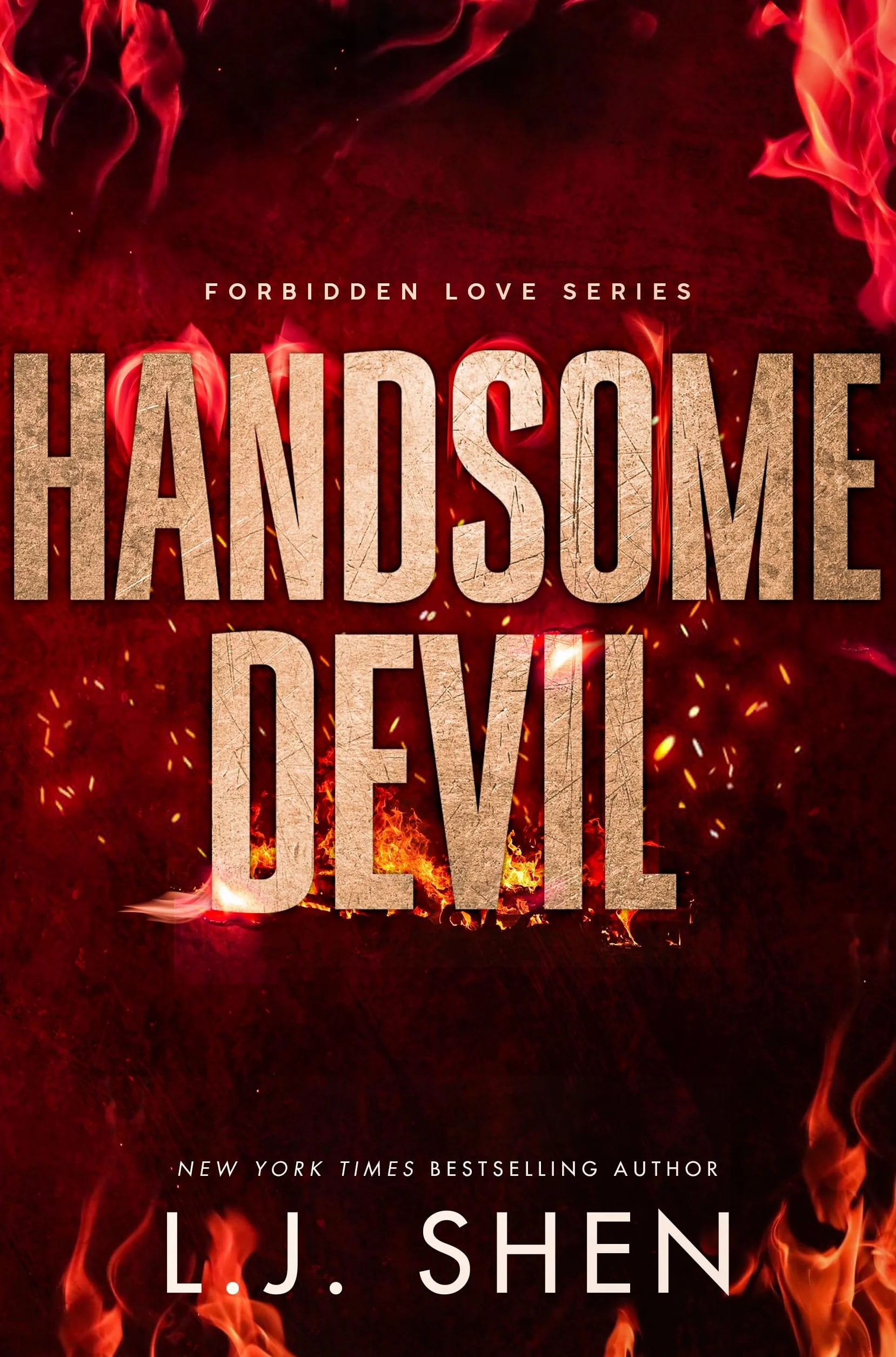 Handsome Devil: the must-read dark romance book that's intense, spicy and addictive, from the co-author of MY DARK ROMEO: 3