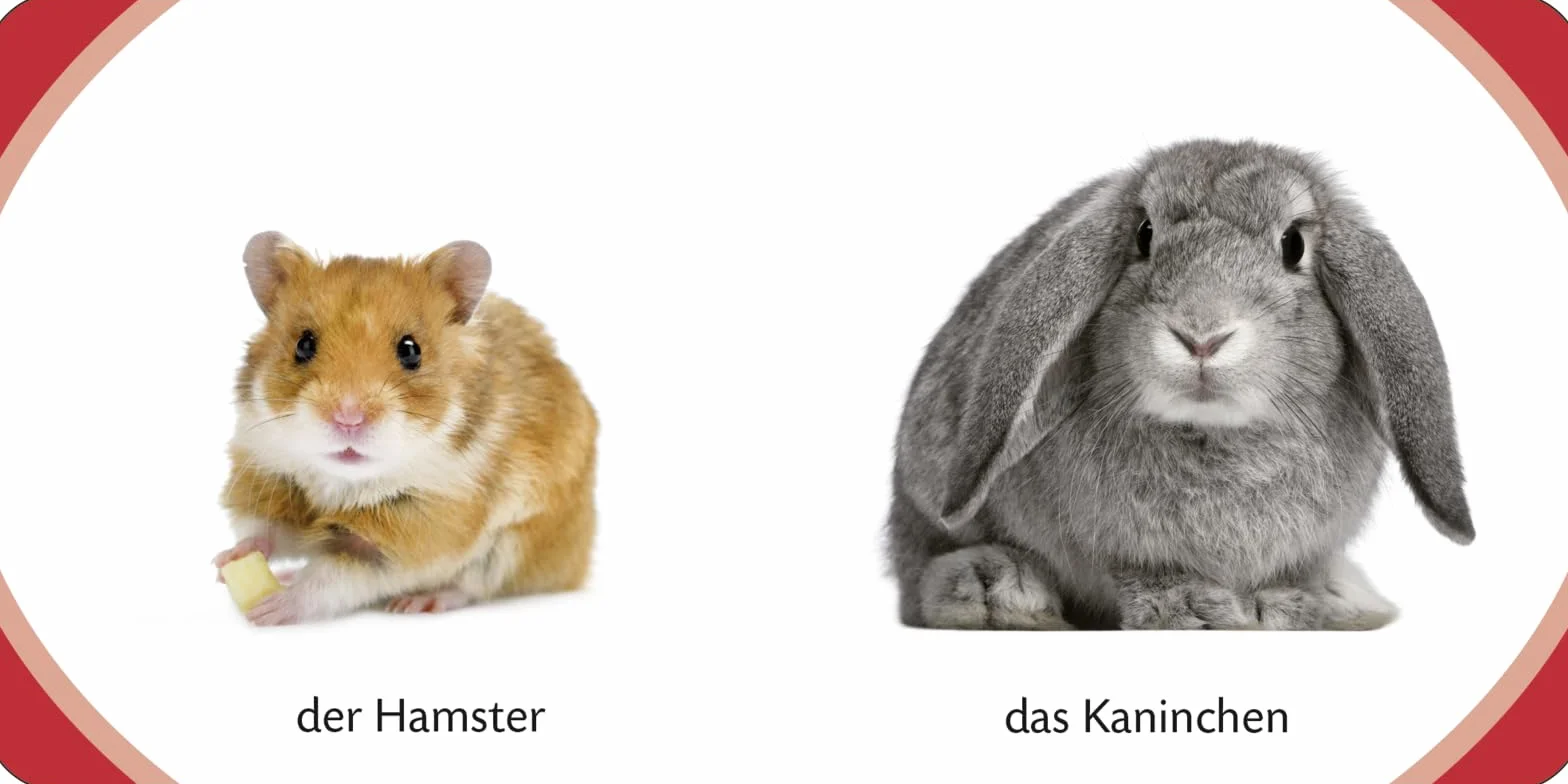 Kennst du das? Meine kleine Tierwelt (Würfel): ab 12 Monaten: 13