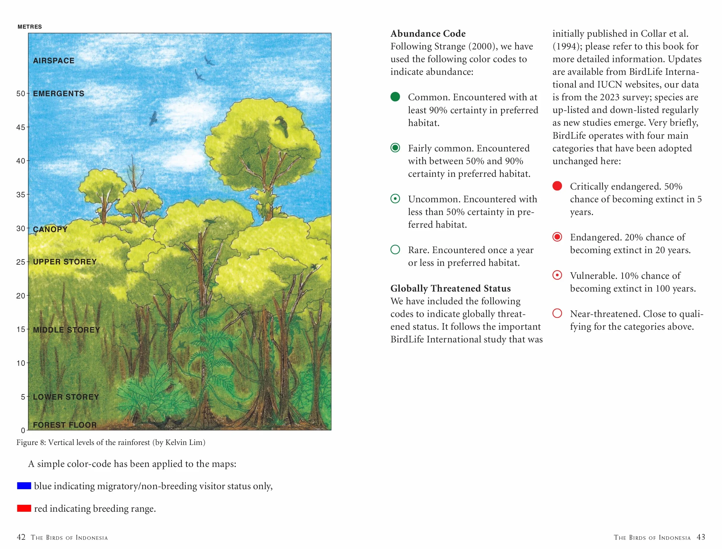 A Photographic Guide to the Birds of Indonesia: Updated Second Edition