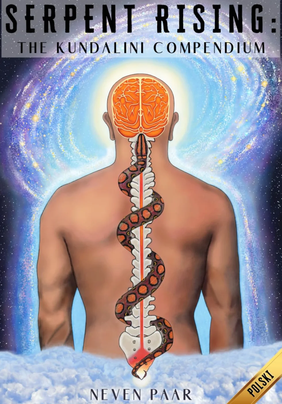 Serpent Rising: The Kundalini Compendium: Najbardziej Wszechstronny na Świecie Zbiór Prac Dotyczących Potencjału Energetycznego Człowieka