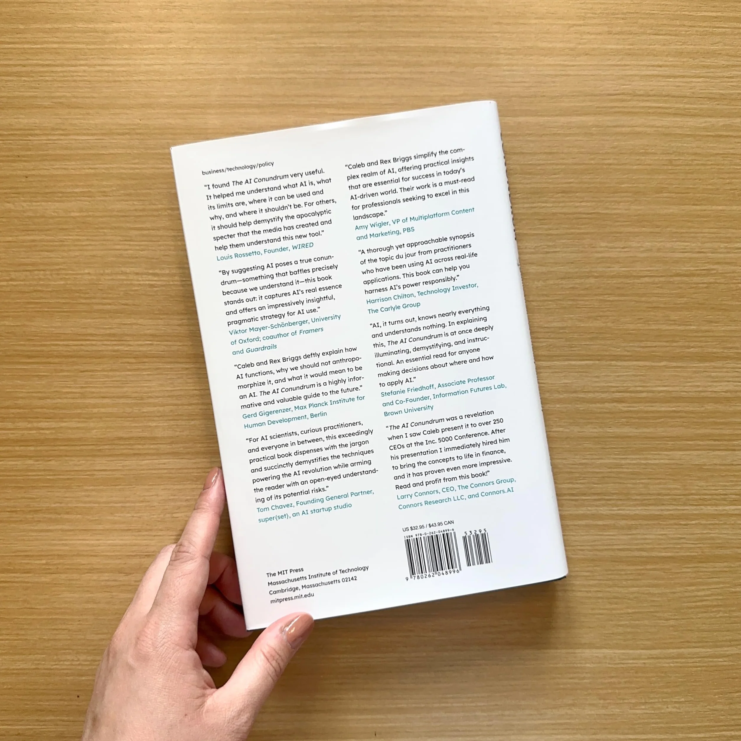 The AI Conundrum: Harnessing the Power of AI for Your Organization--Profitably and Safely