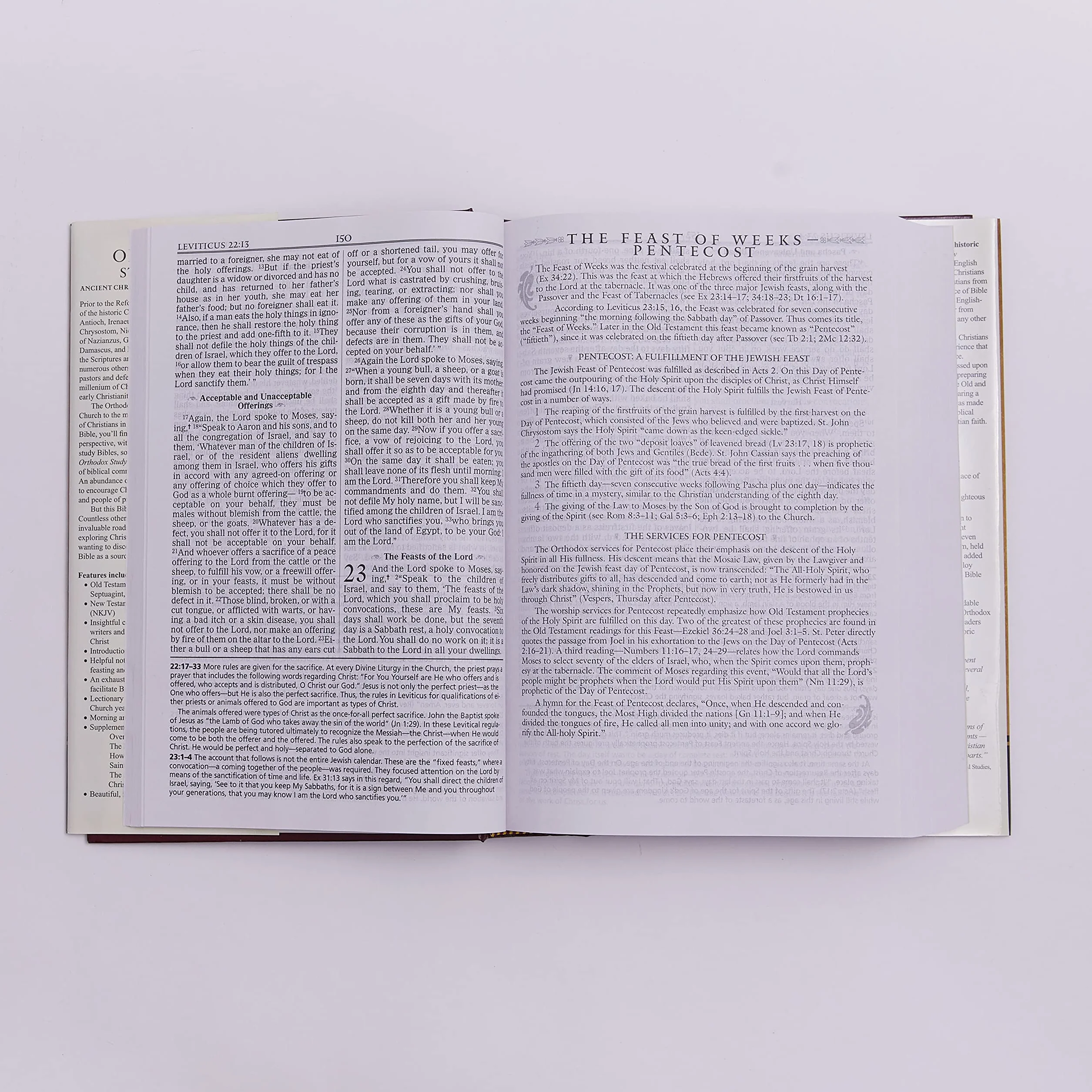 Orthodox Study Bible-OE-With Some NKJV: Ancient Christianity Speaks to Today's World