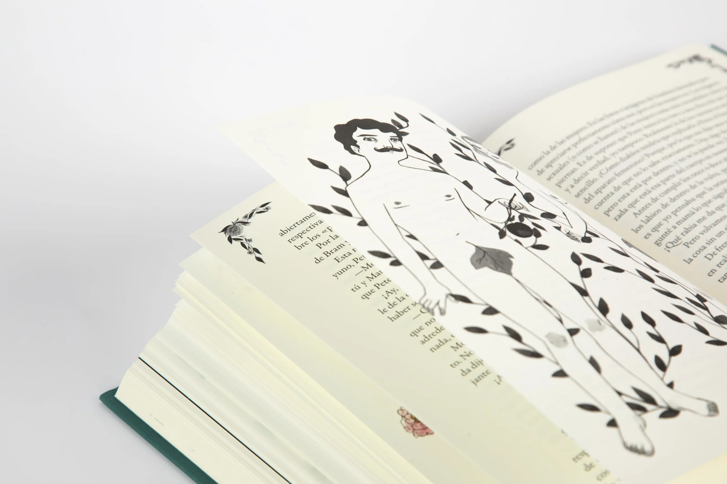 Diario de Anne Frank (Edición Ilustrada) / Diary of Anne Frank (Illustrated Edition)