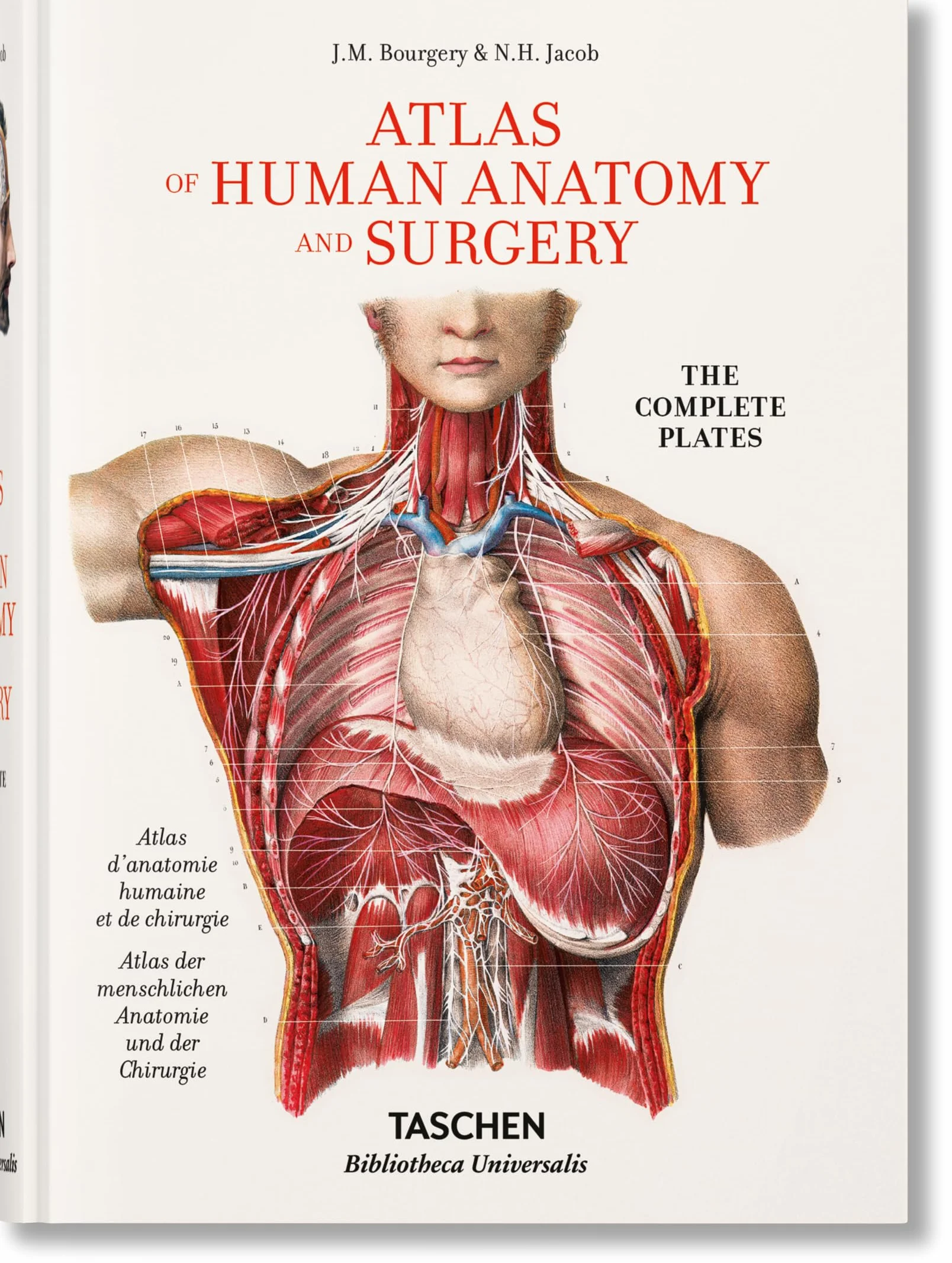 Atlas of Human Anatomy and Surgery