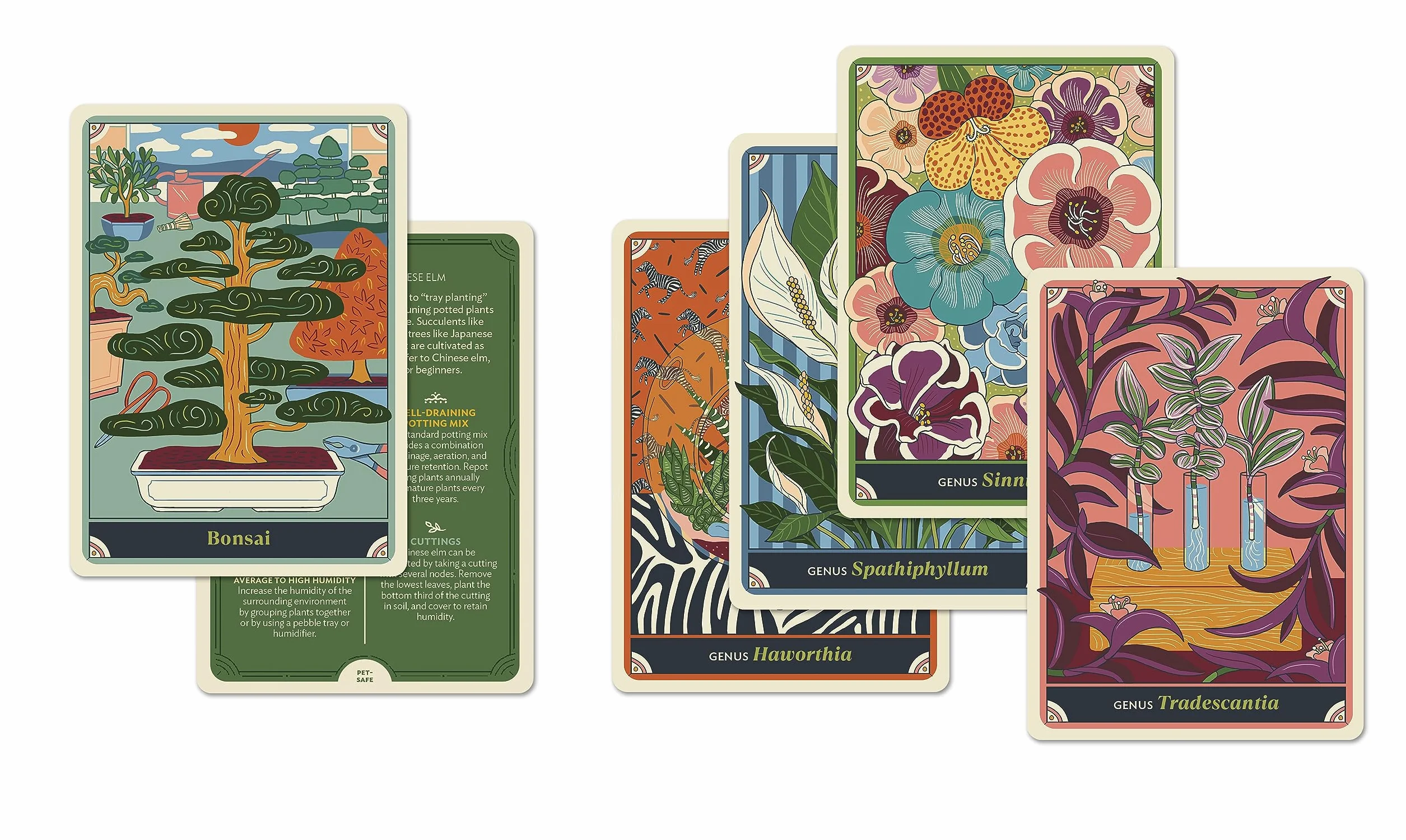 The Happy Houseplant Deck: 50 Cards for Intuitive Plant Care