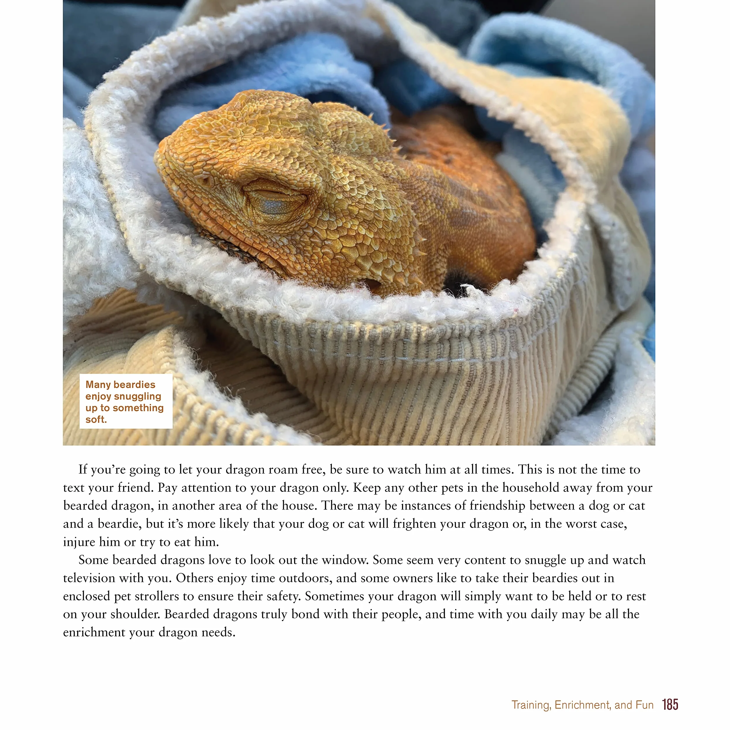 Bearded Dragon Manual, 3rd Edition: Expert Advice for Keeping and Caring for a Healthy Bearded Dragon