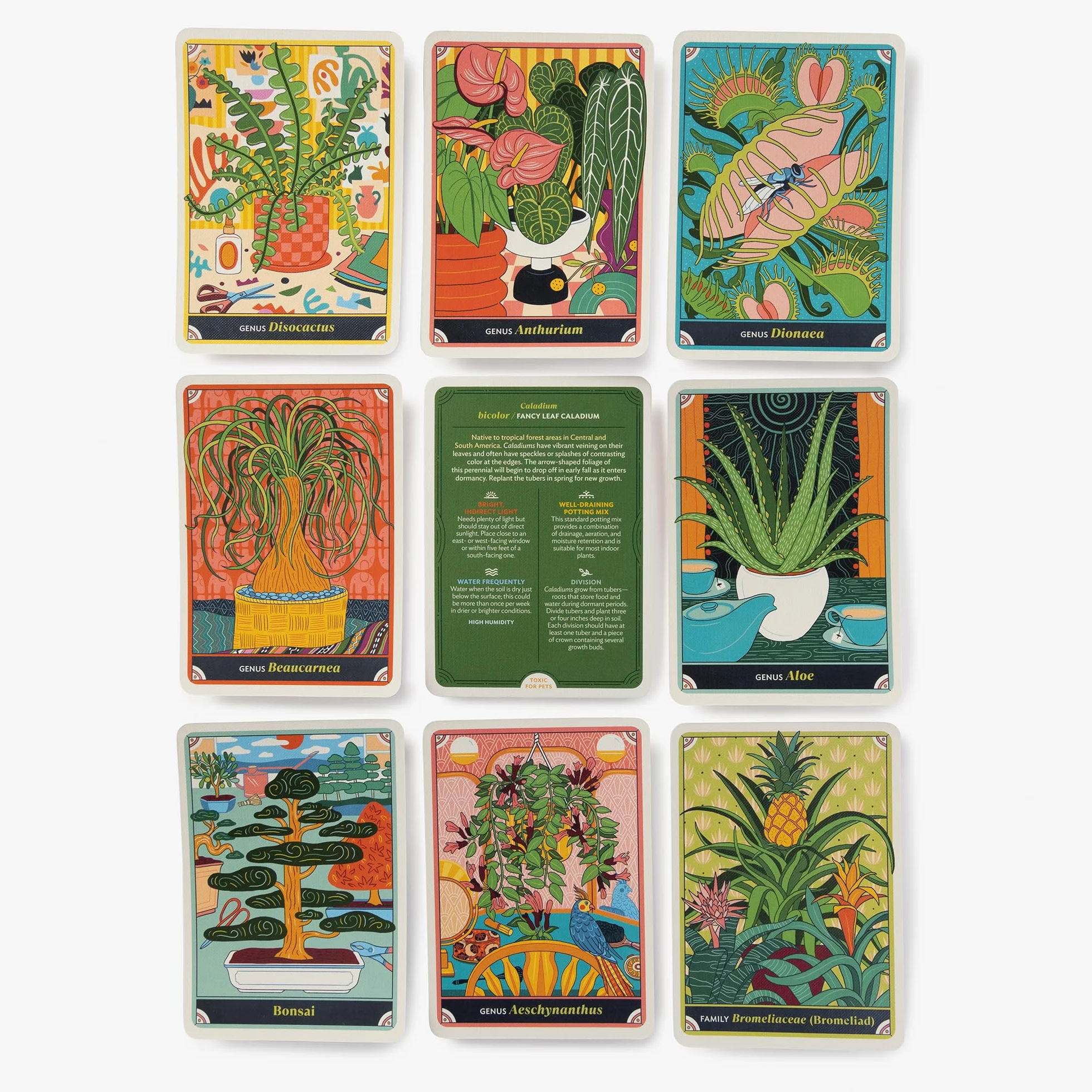 The Happy Houseplant Deck: 50 Cards for Intuitive Plant Care
