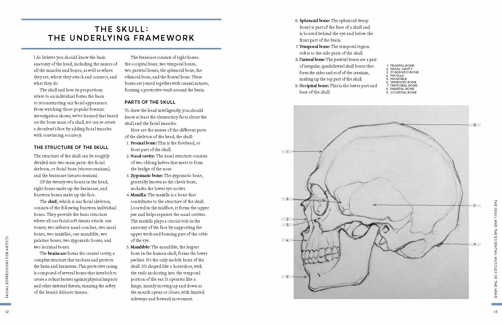 Facial Expressions for Artists: Techniques for Capturing Emotion and Mood in Portrait and Character Drawings: 10