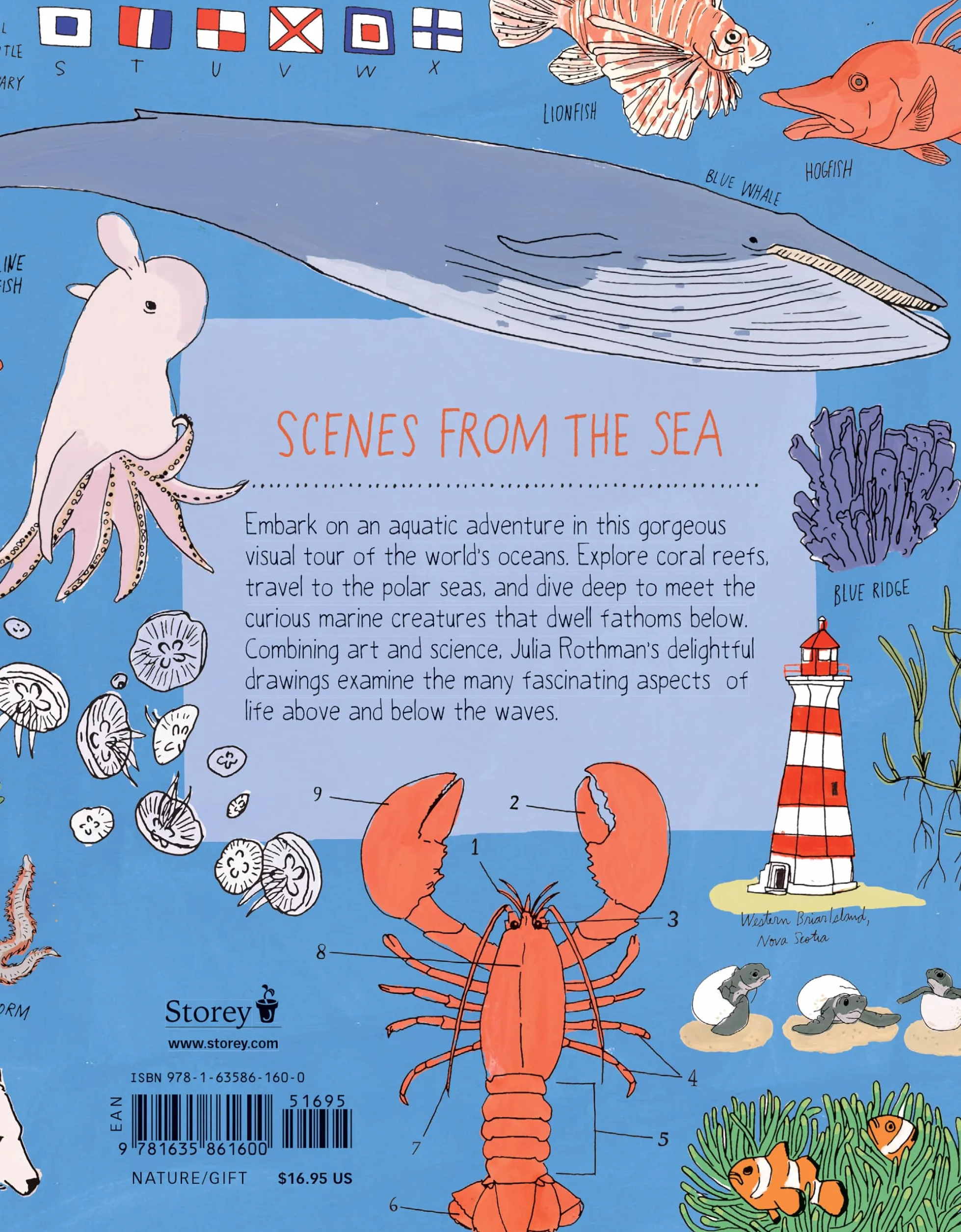 Ocean Anatomy: The Curious Parts & Pieces of the World Under the Sea: 1