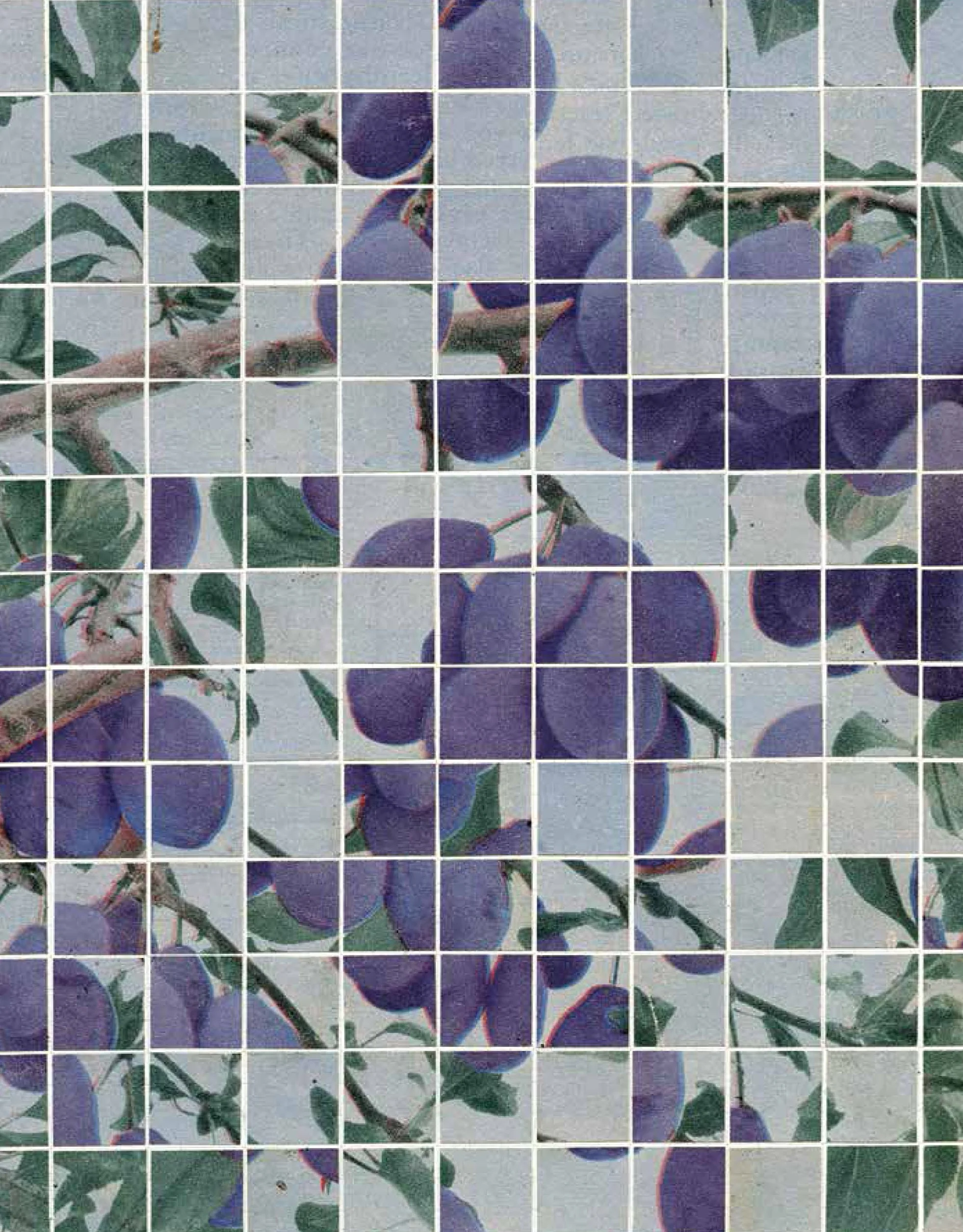 Collage Makers 2