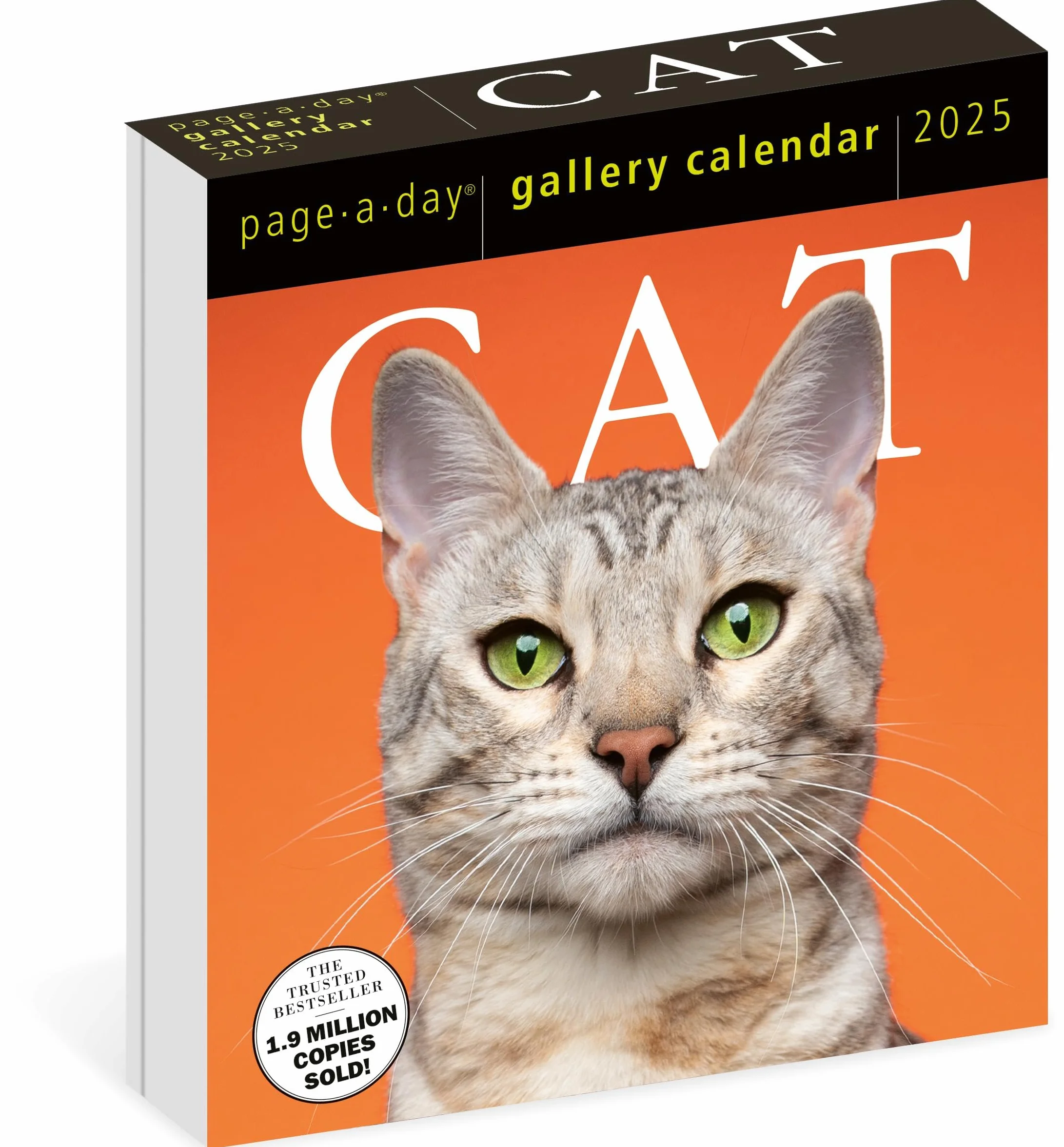 Cat Page-A-Day® Gallery Calendar 2025: A Delightful Gallery of Cats for Your Desktop