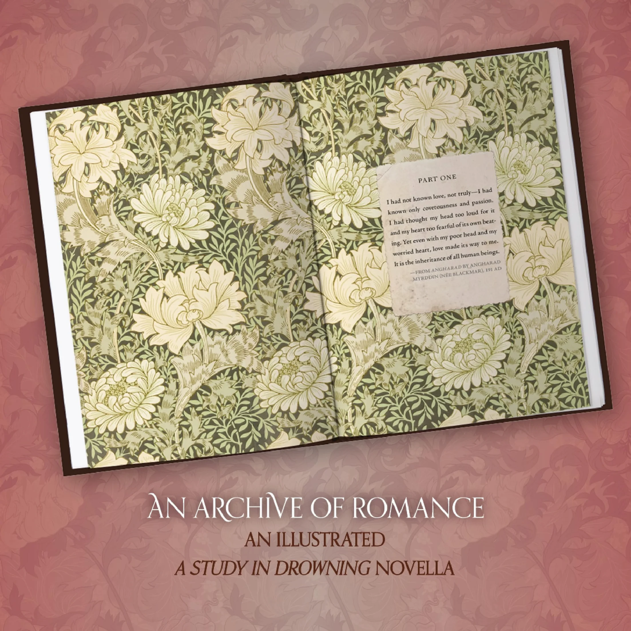 An Archive of Romance: A Study in Drowning Novella: 3