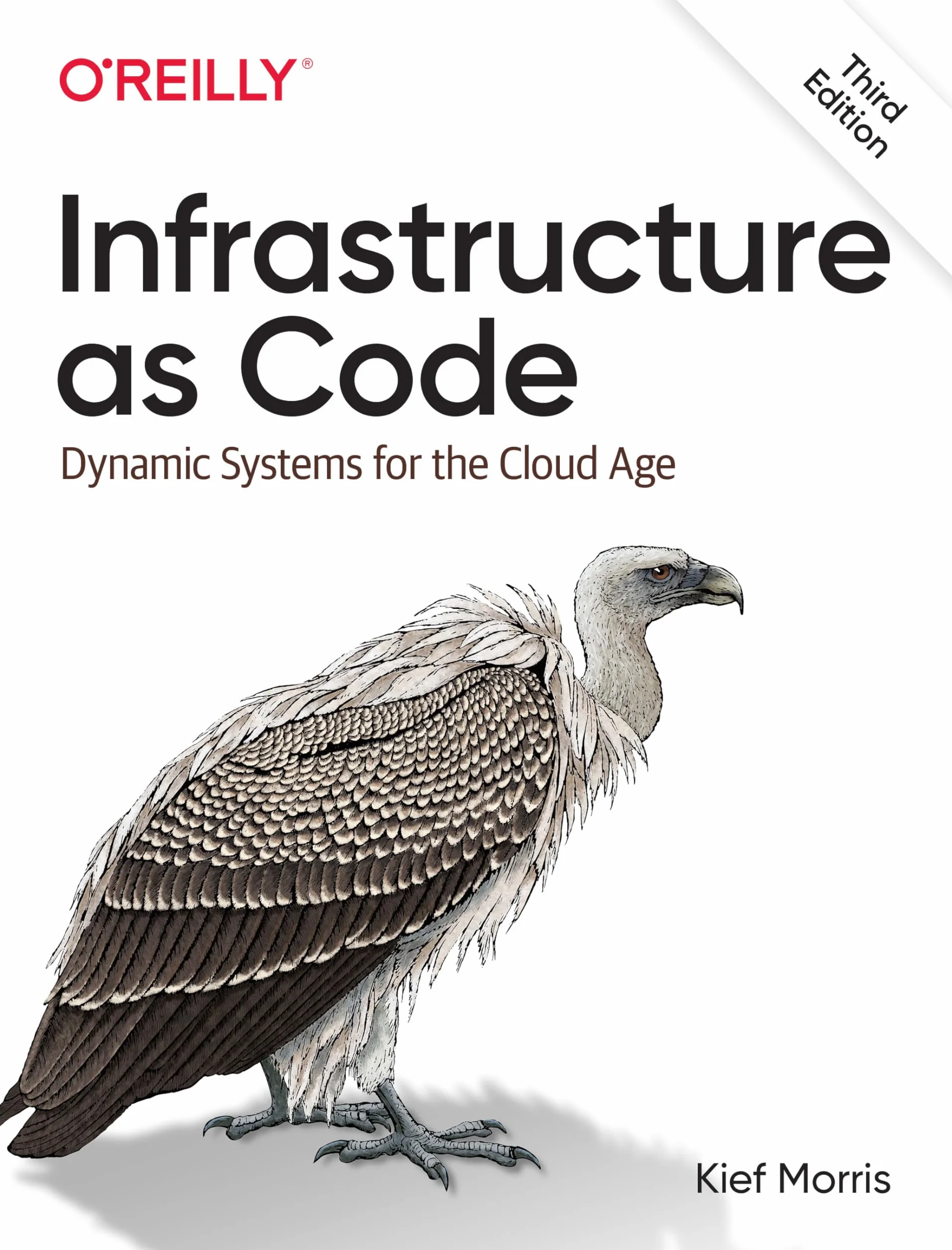 Infrastructure as Code: Designing and Delivering Dynamic Systems for the Cloud Age