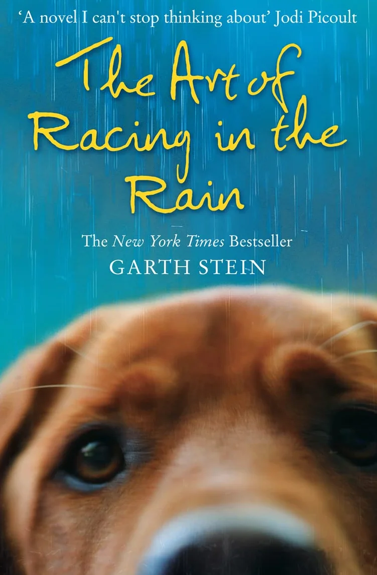 The Art of Racing in the Rain: a novel