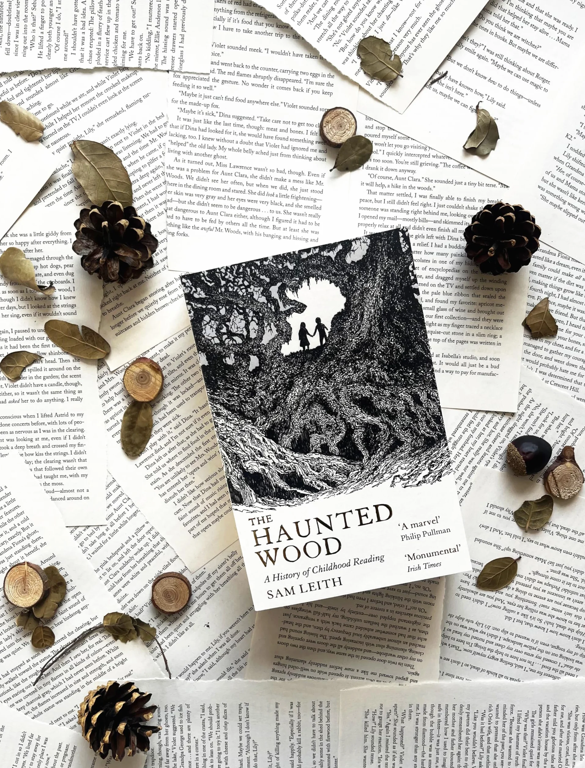 The Haunted Wood: A History of Childhood Reading