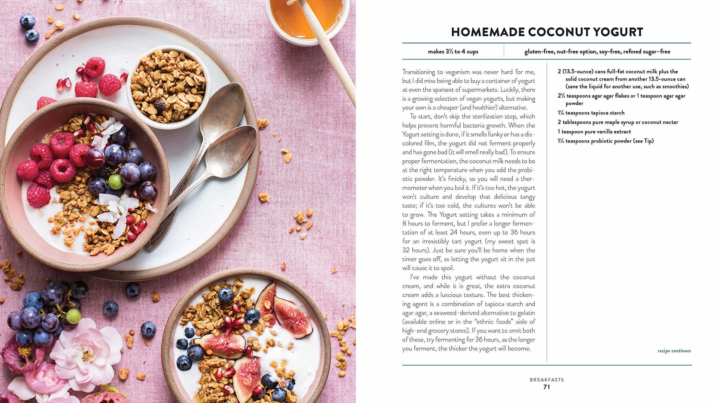The Vegan Instant Pot Cookbook: Wholesome, Indulgent Plant-Based Recipes